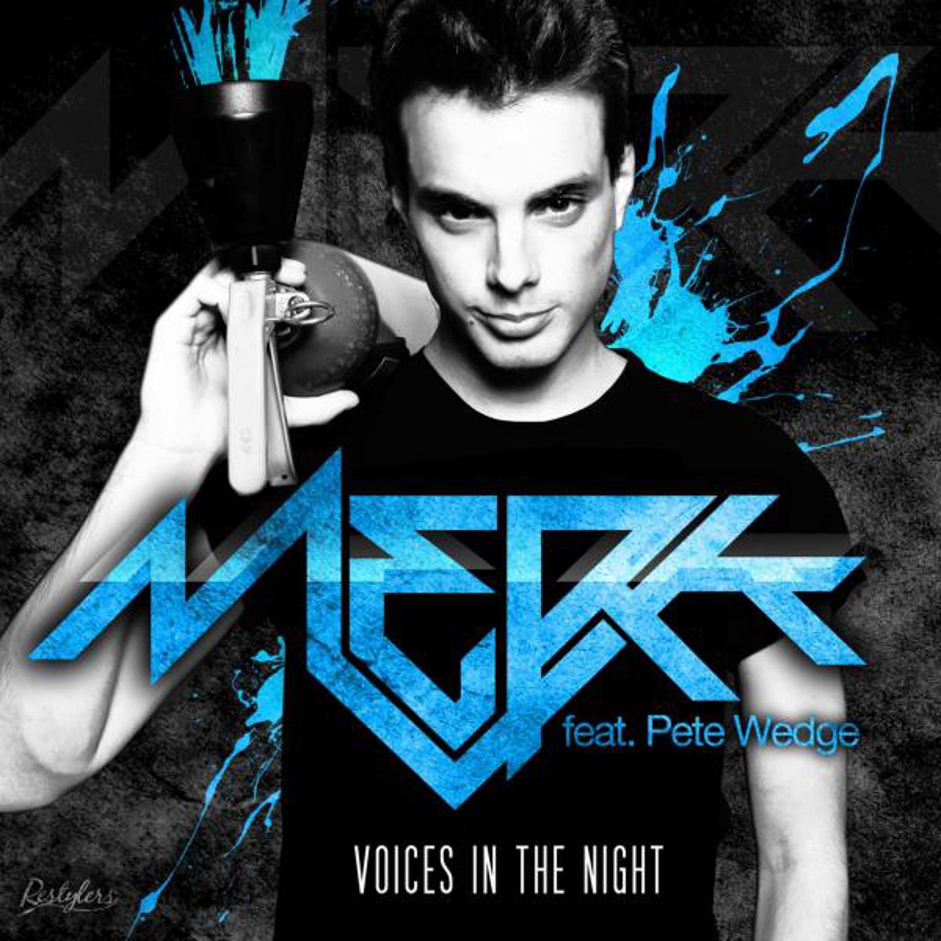 Постер альбома Voices In The Night