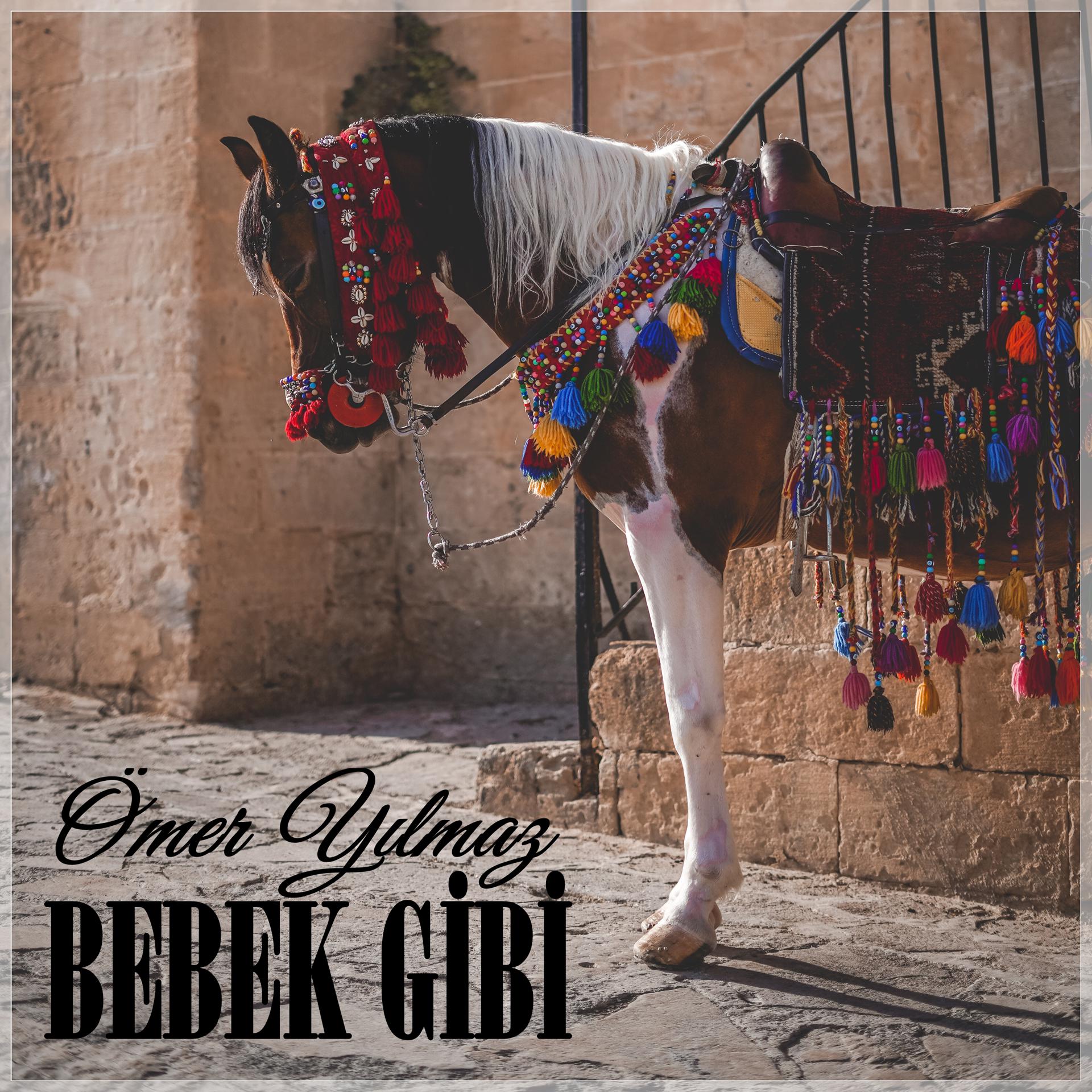 Постер альбома Bebek Gibi