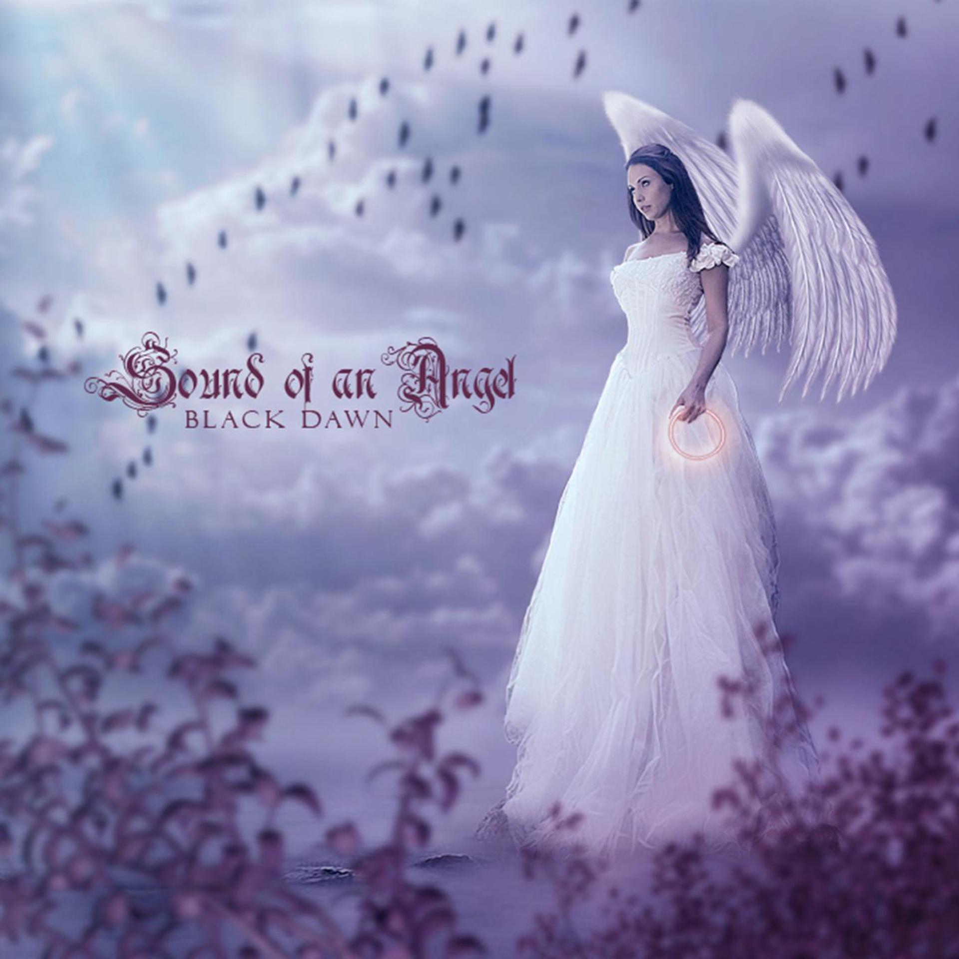 Постер альбома Sound of an Angel