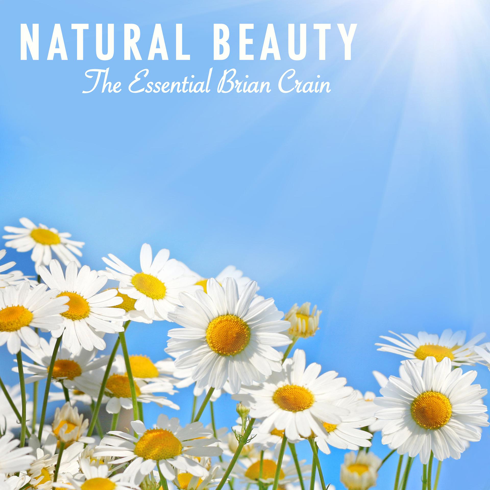 Постер альбома Natural Beauty - The Essential Brian Crain
