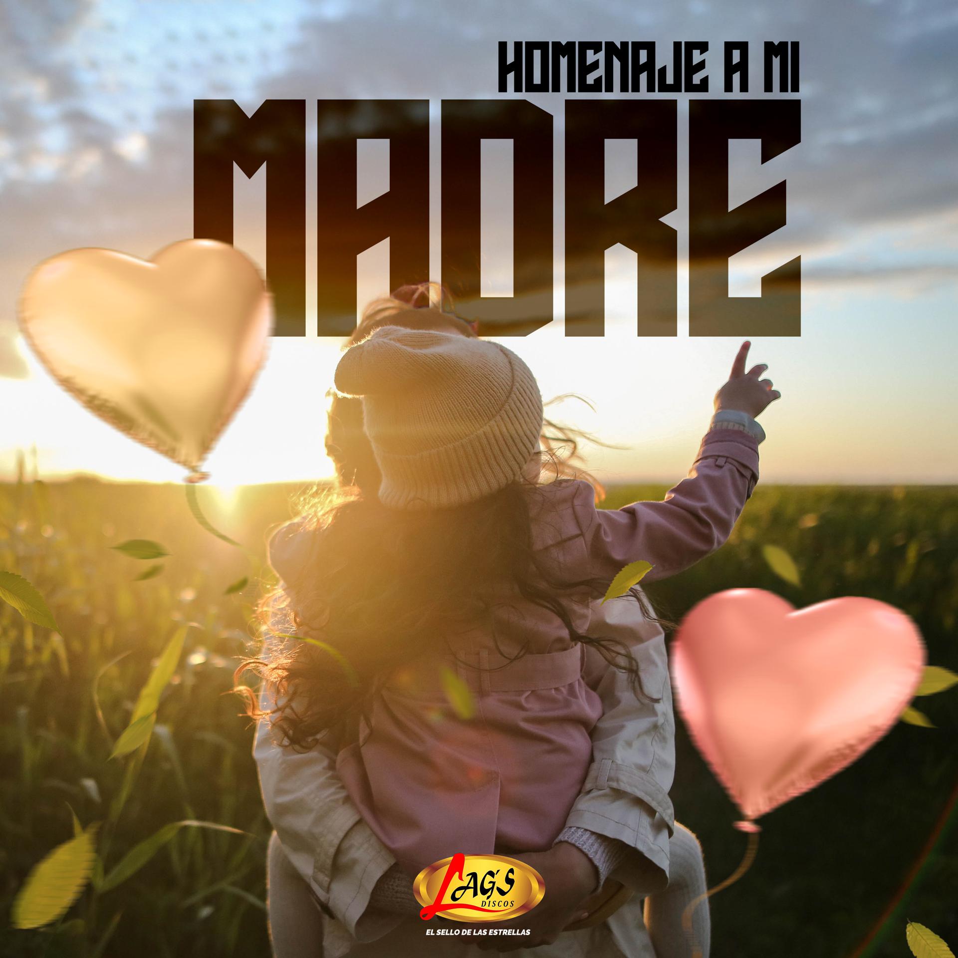 Постер альбома Homenaje a Mi Madre
