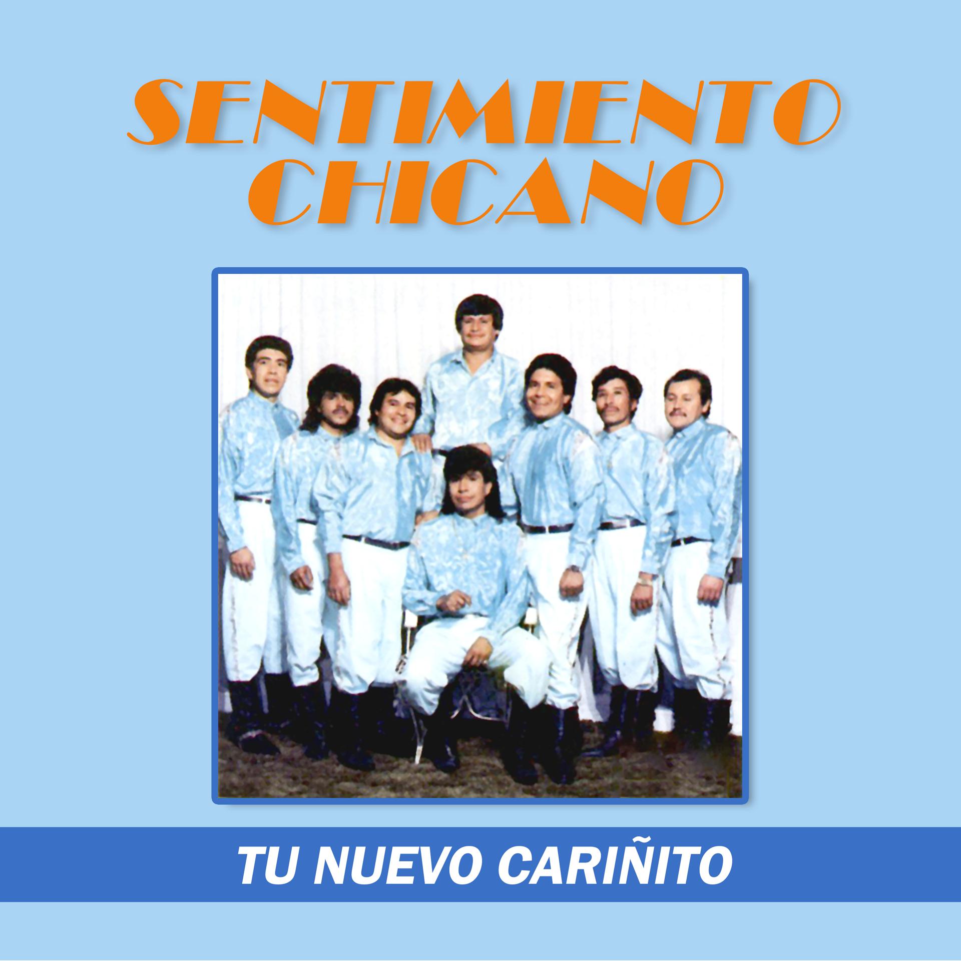Постер альбома Tu Nuevo Cariñito
