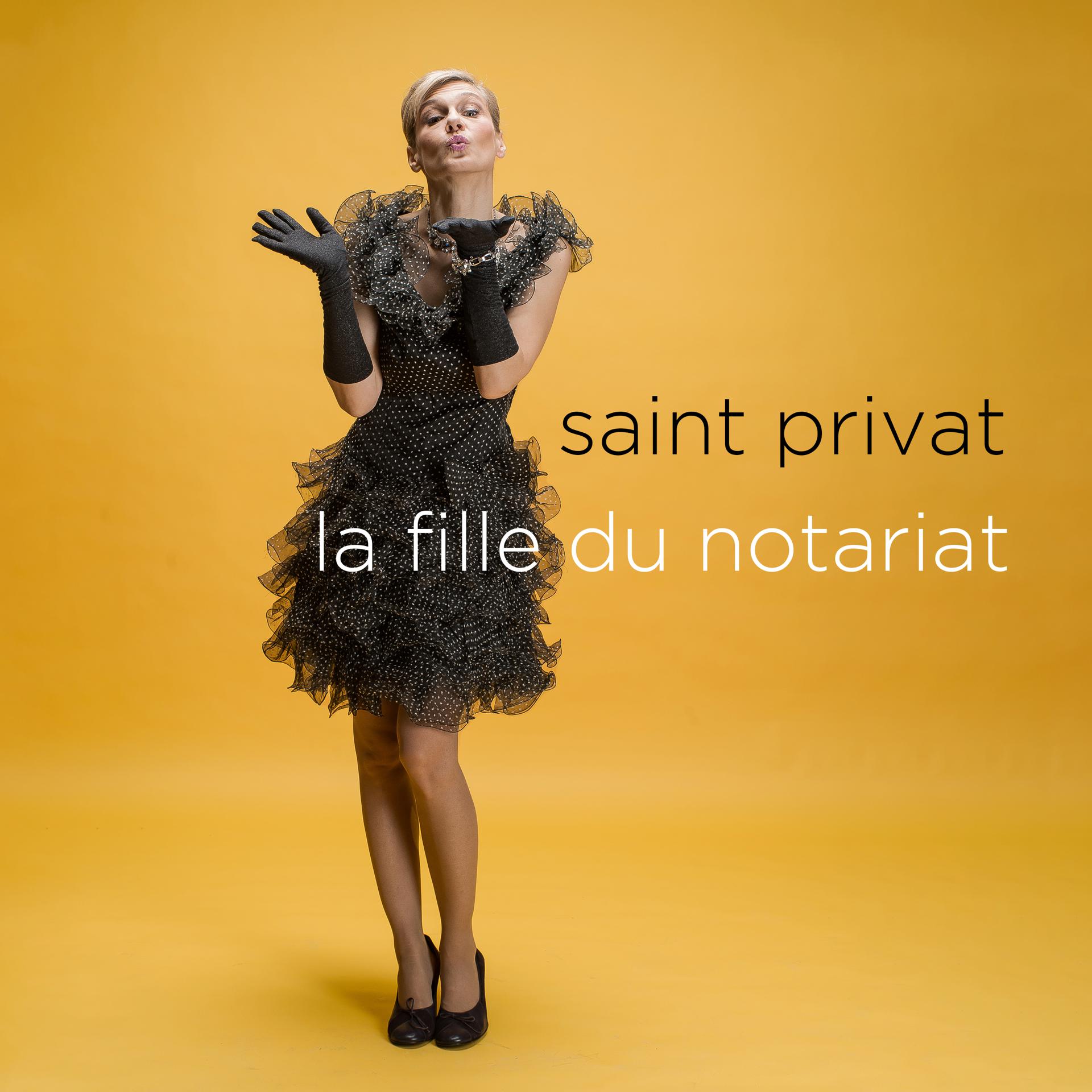 Постер альбома La fille du Notariat