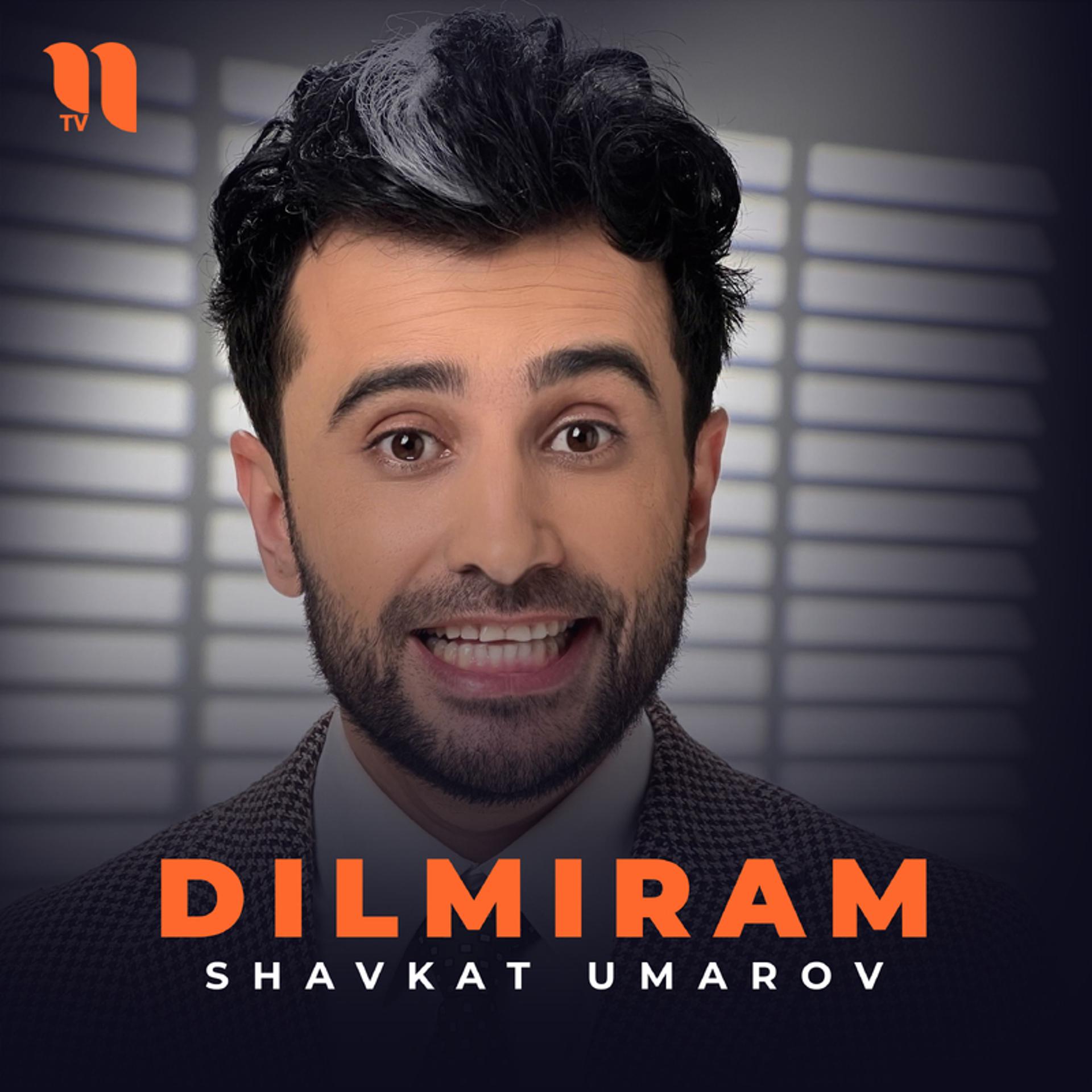 Постер альбома Dilmiram