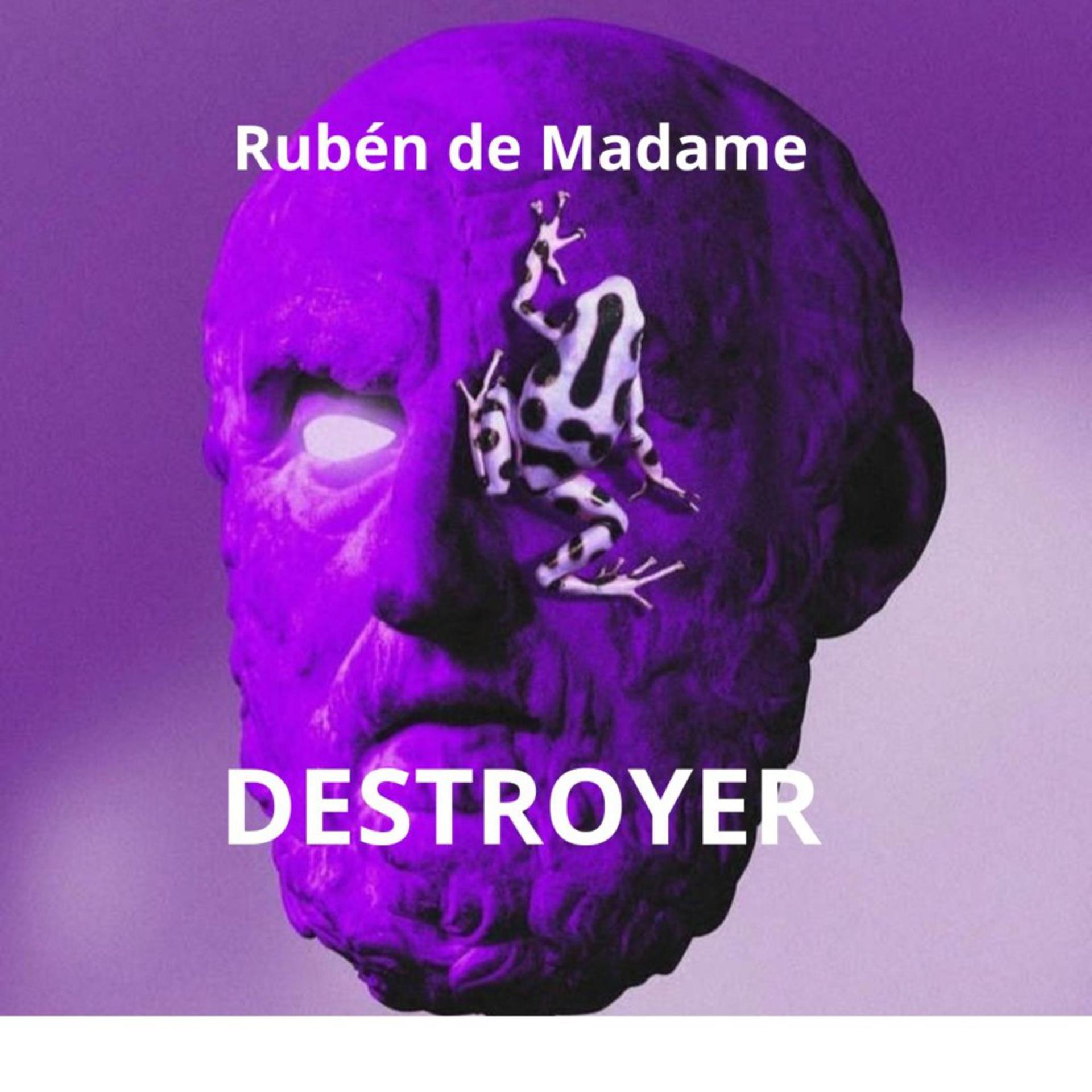 Постер альбома Destroyer (Original Mix)