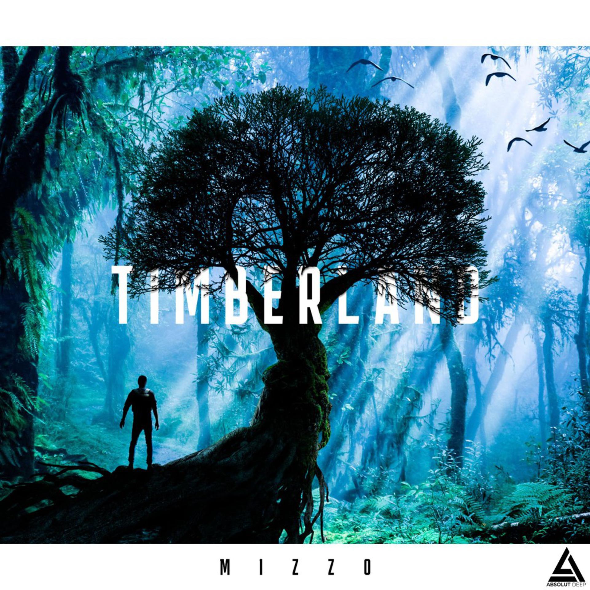 Постер альбома Timberland