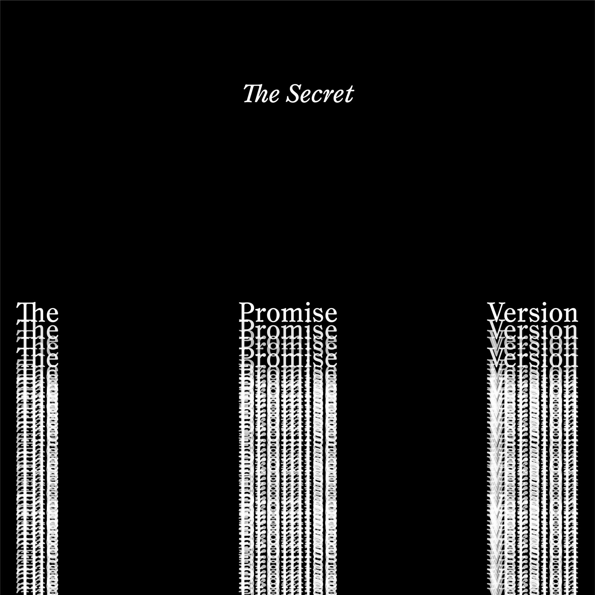 Постер альбома The Secret (The Promise Version)