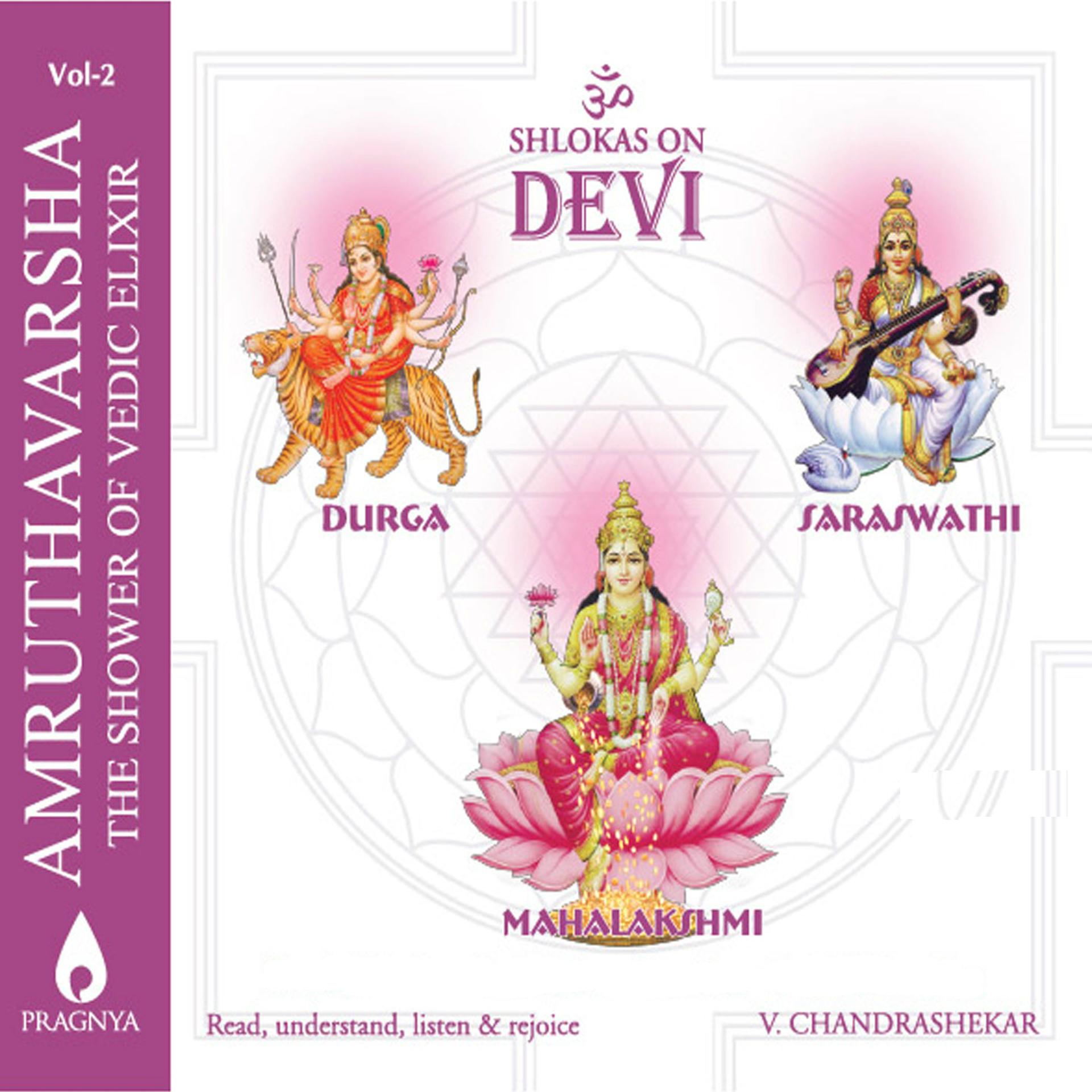 Постер альбома Amruthavarsha, Vol. 2