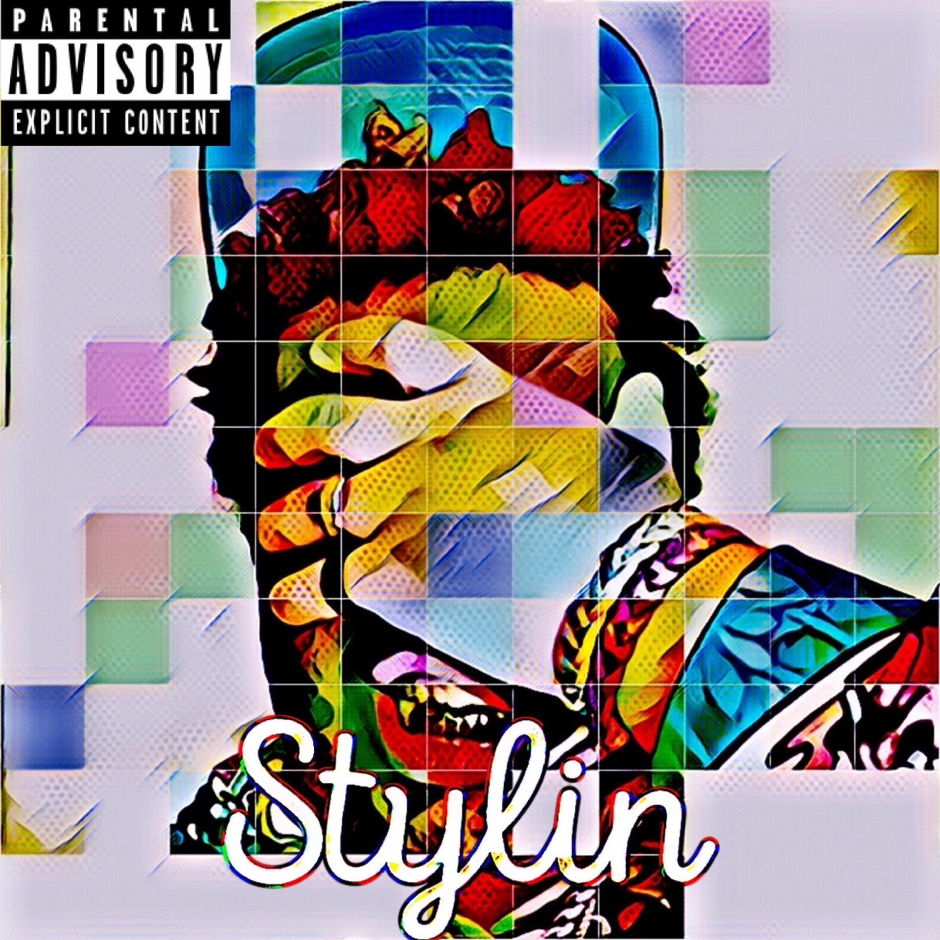 Постер альбома Stylin