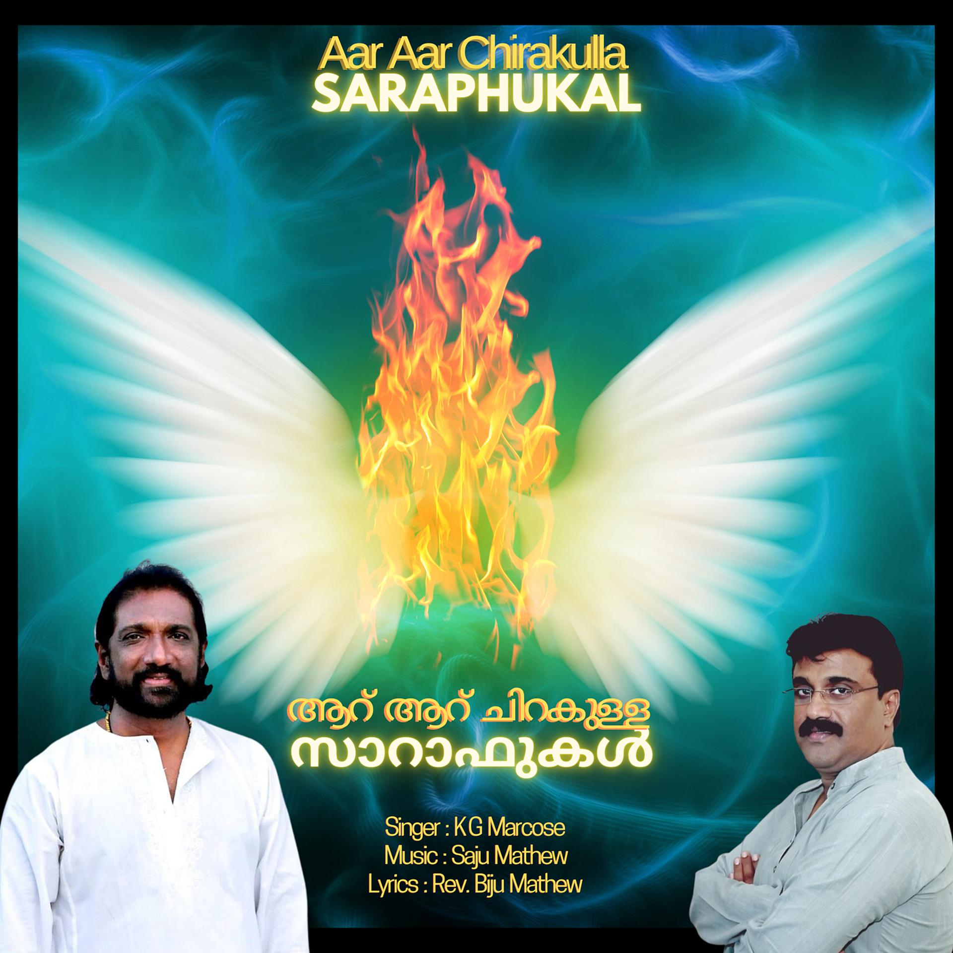Постер альбома Aar Aar Chirakulla Saraphukal (feat. K G Markose)