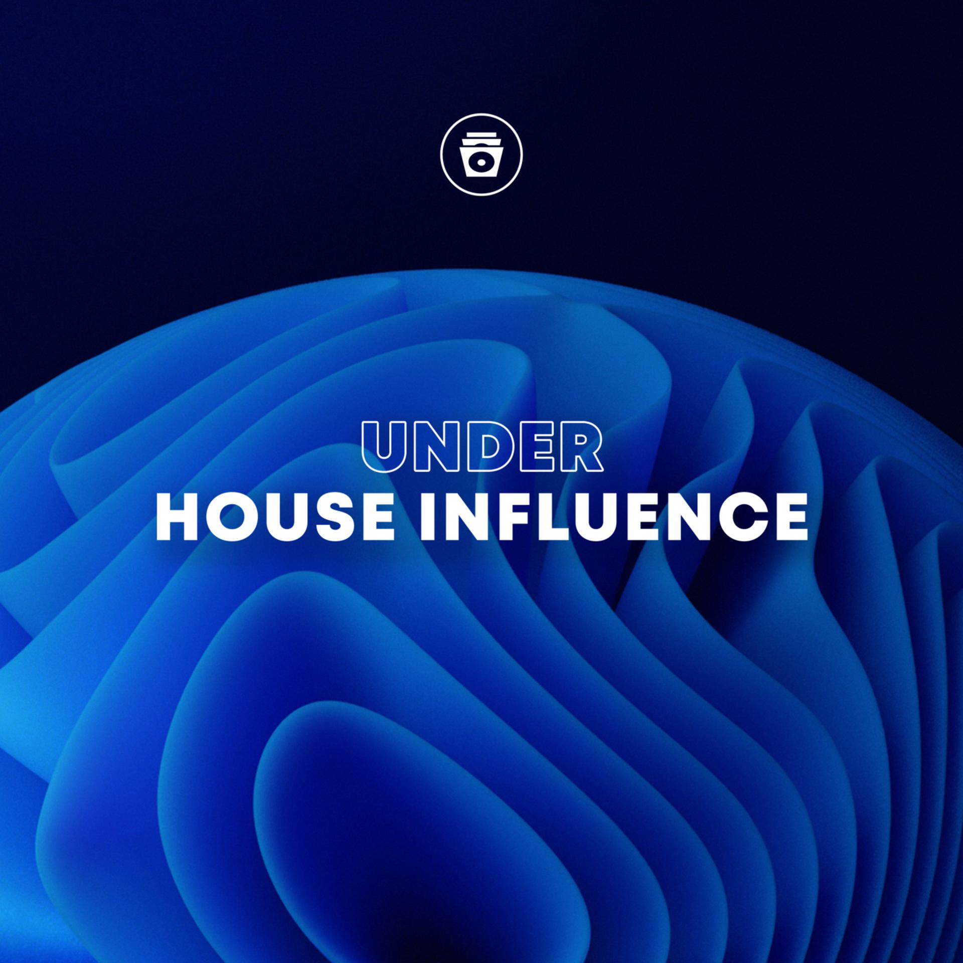 Постер альбома Under House Influence