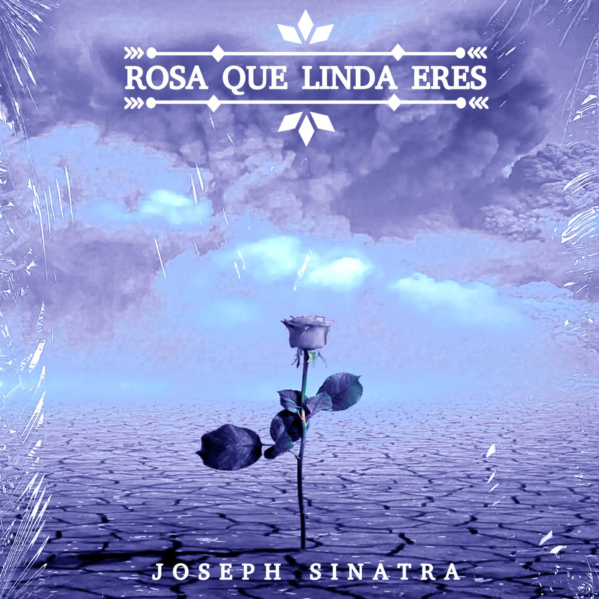Постер альбома Rosa Que Linda Eres