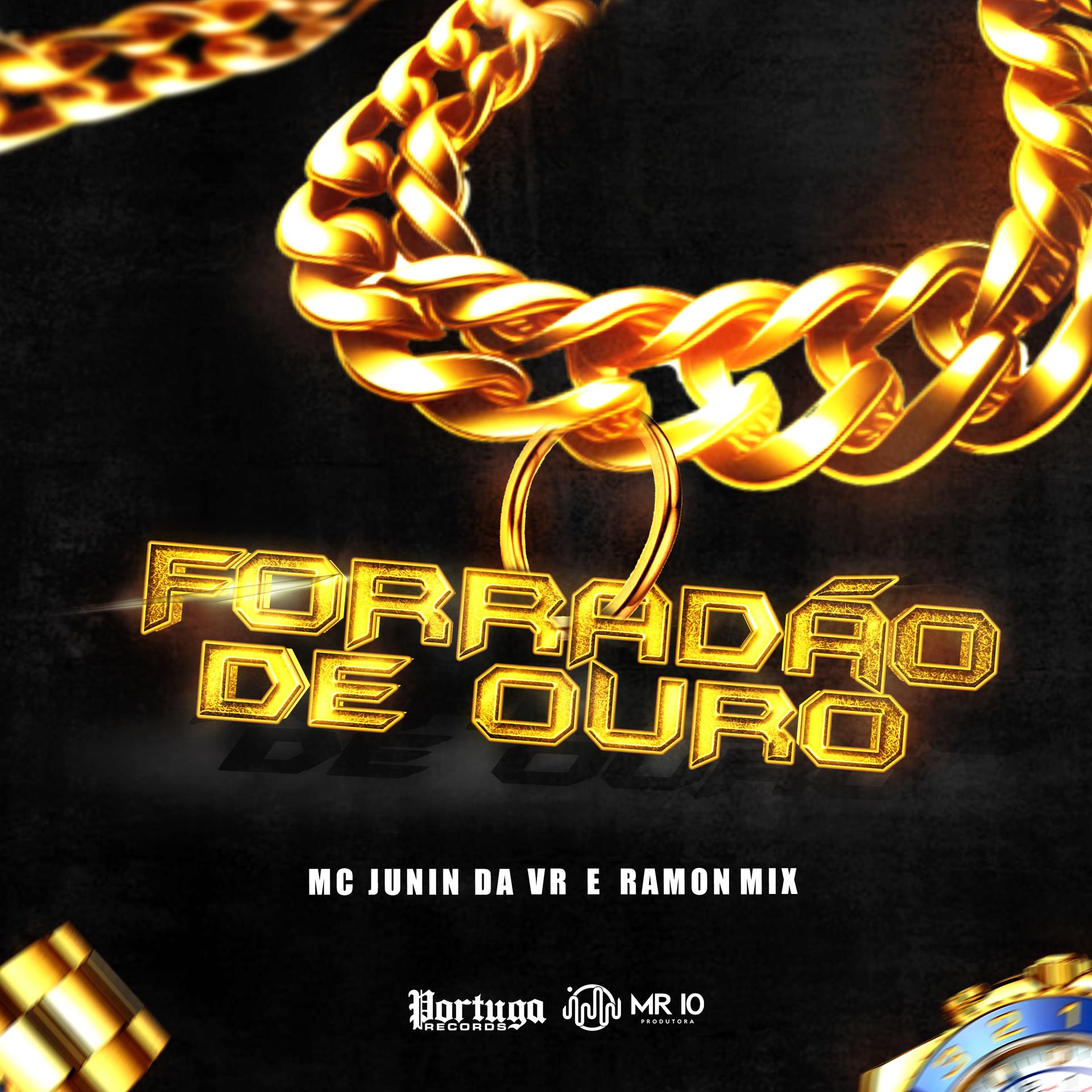 Постер альбома Forradão de Ouro