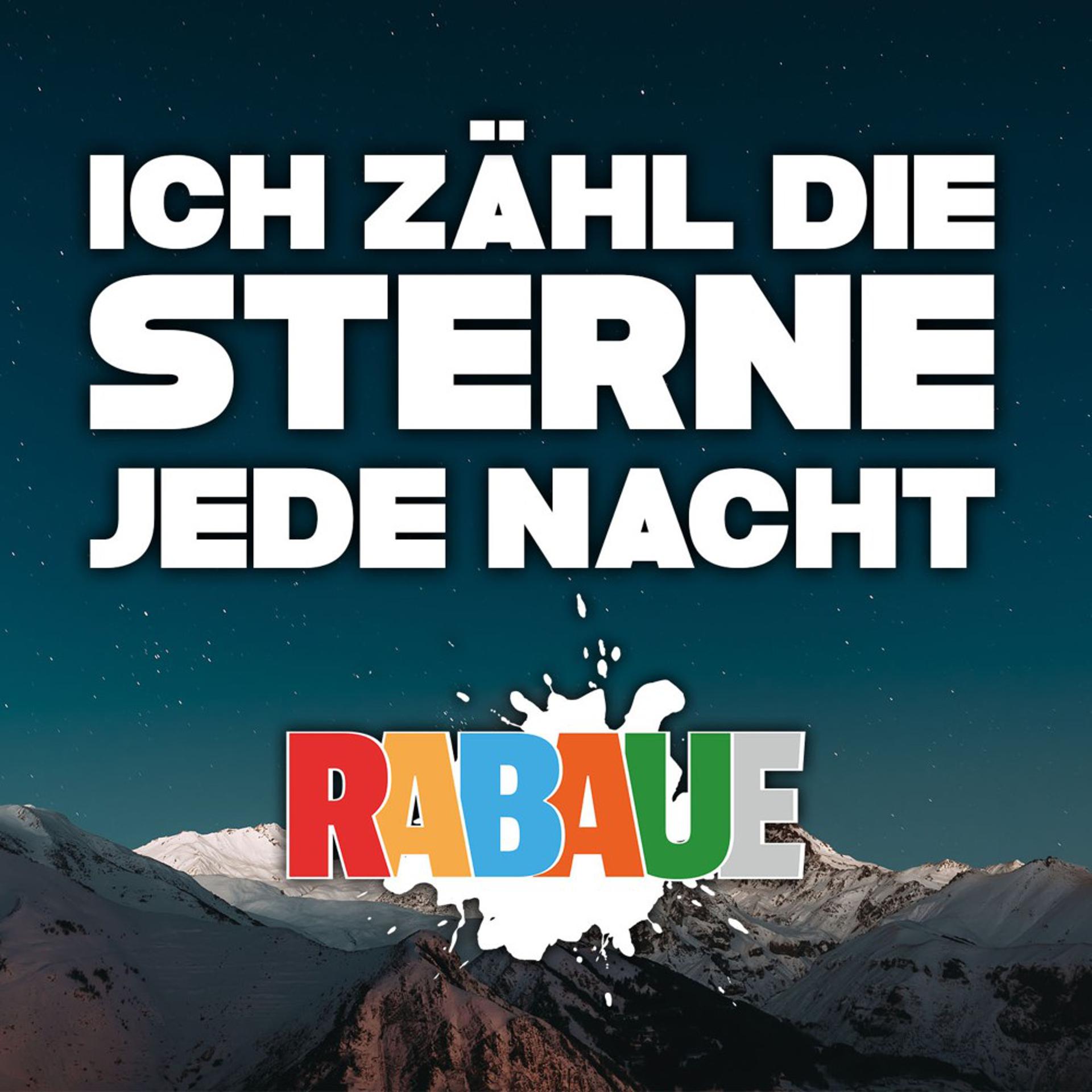 Постер альбома Ich zähl die Sterne jede Nacht