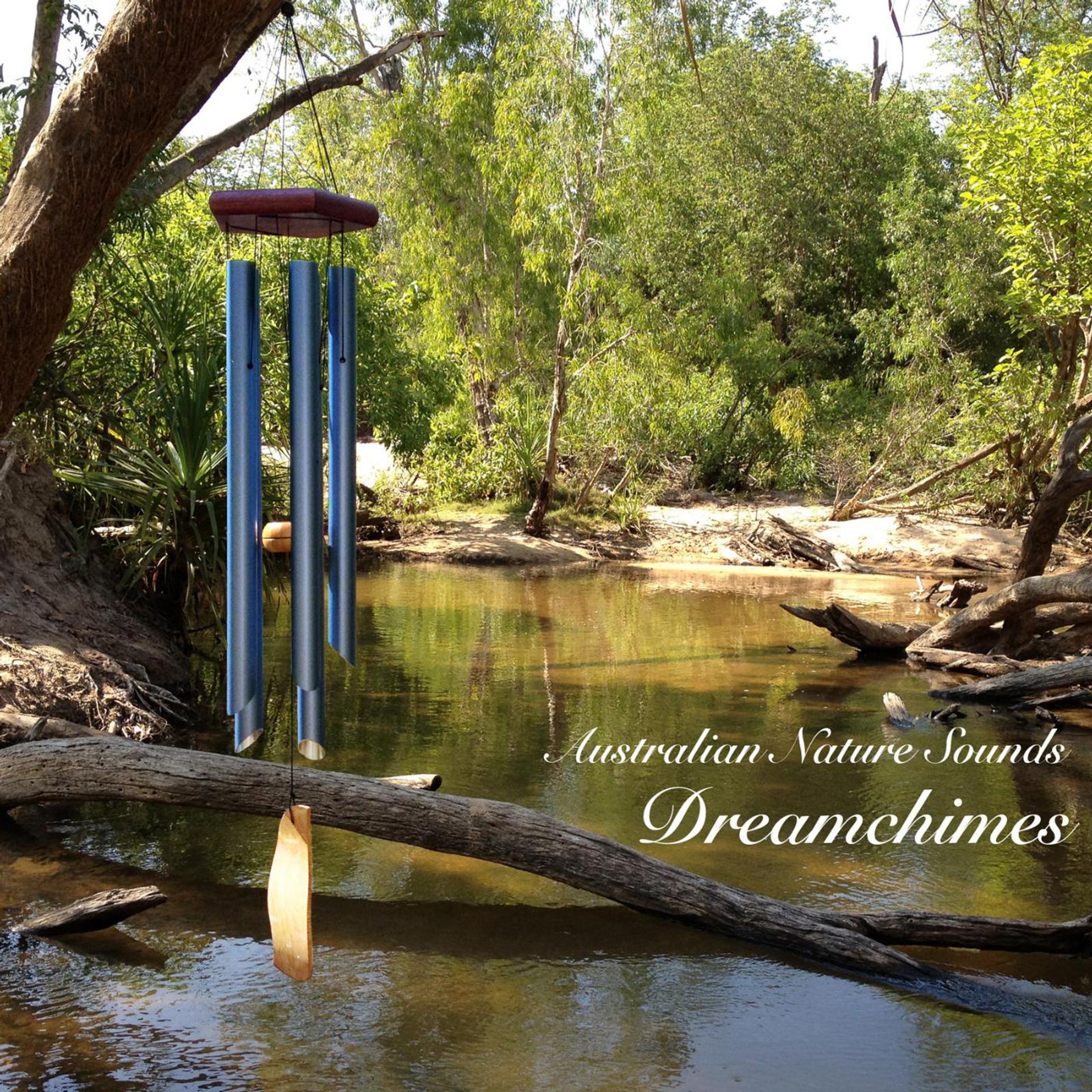 Постер альбома Dreamchimes - Wind Chimes in the Australian Bush