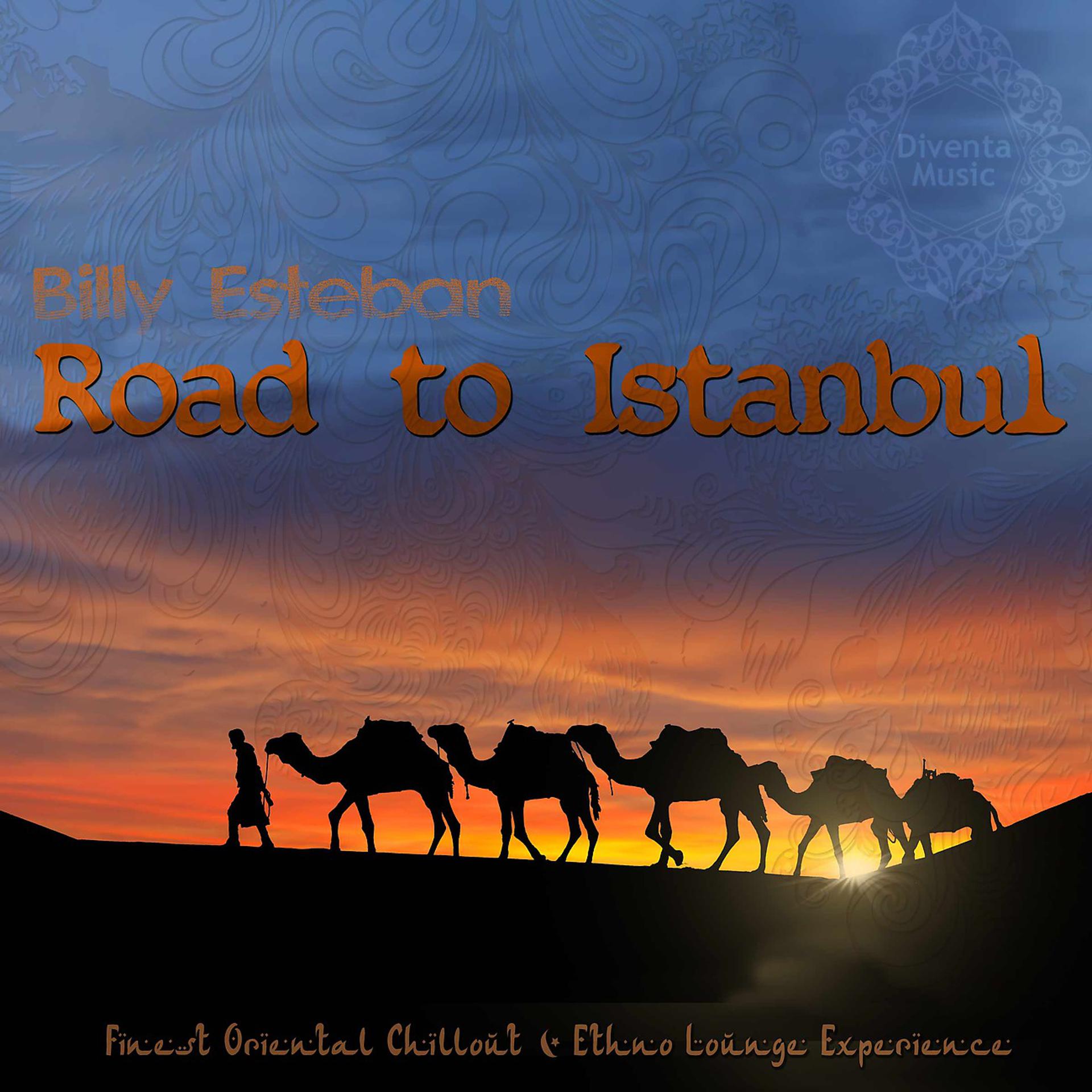 Постер альбома Road to Istanbul (Finest Oriental Chillout & Ethno Lounge Experience)