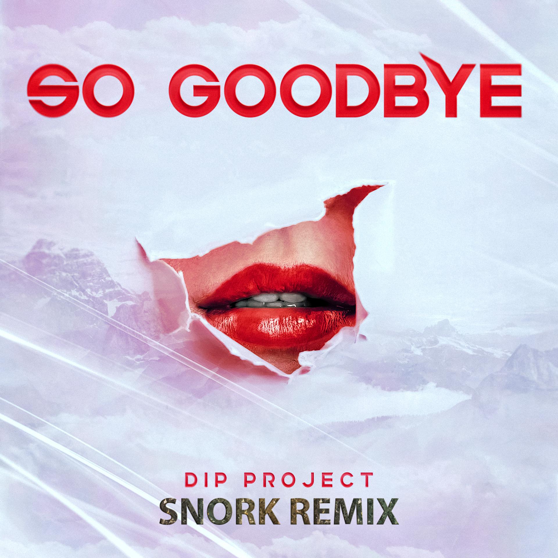 Постер альбома So Goodbye (Snork Remix)