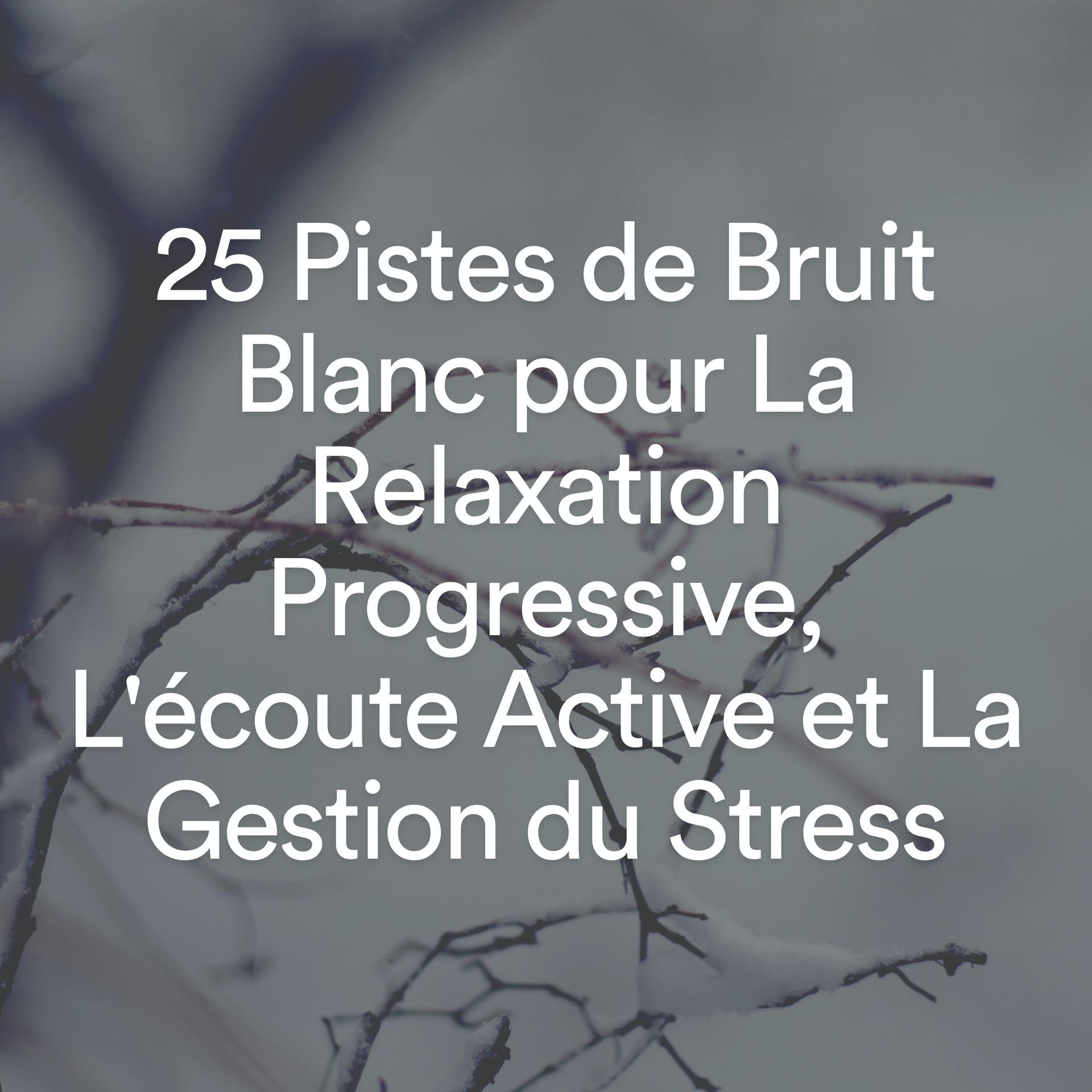 Постер альбома 25 Pistes de Bruit Blanc pour La Relaxation Progressive, L'écoute Active et La Gestion du Stress