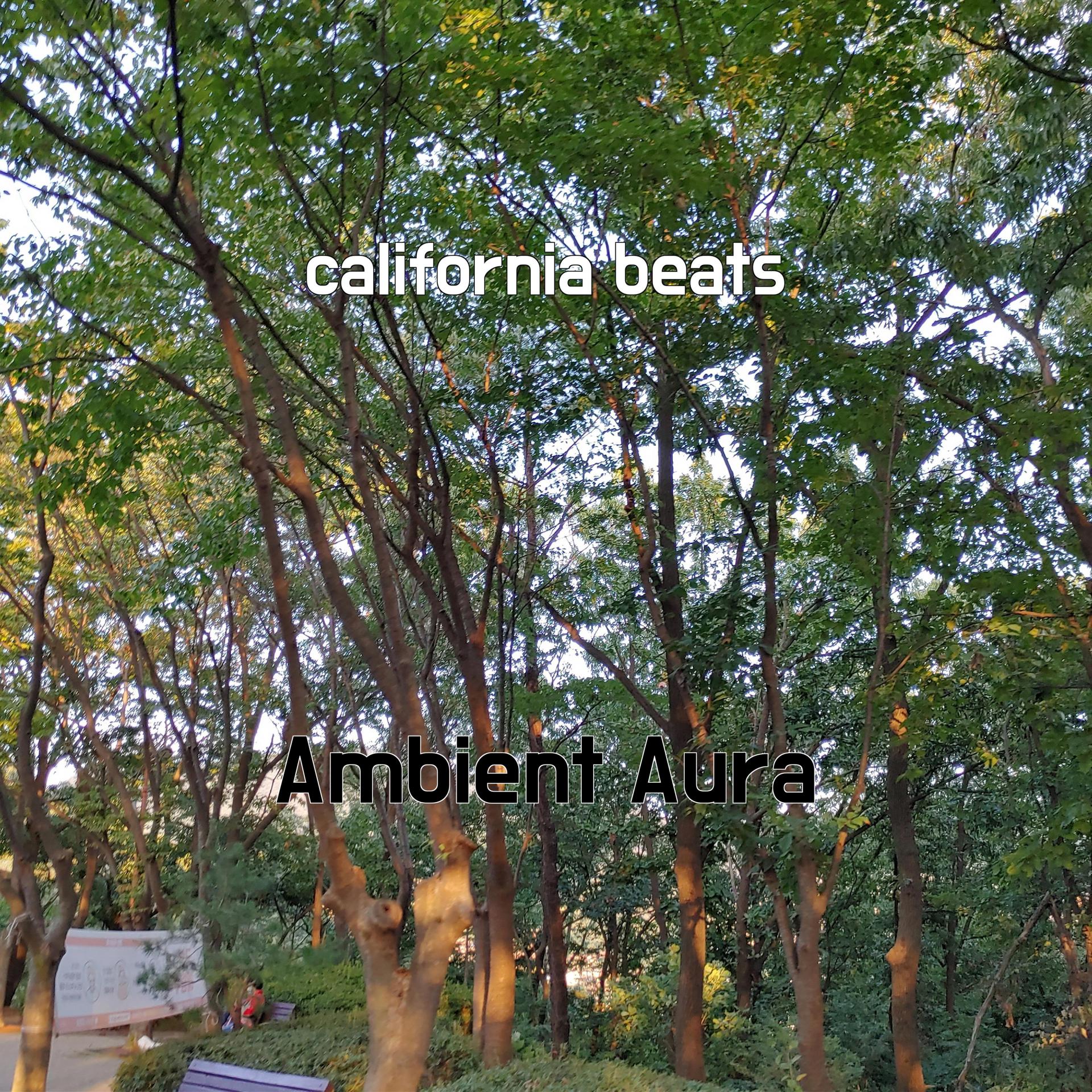 Постер альбома california beats