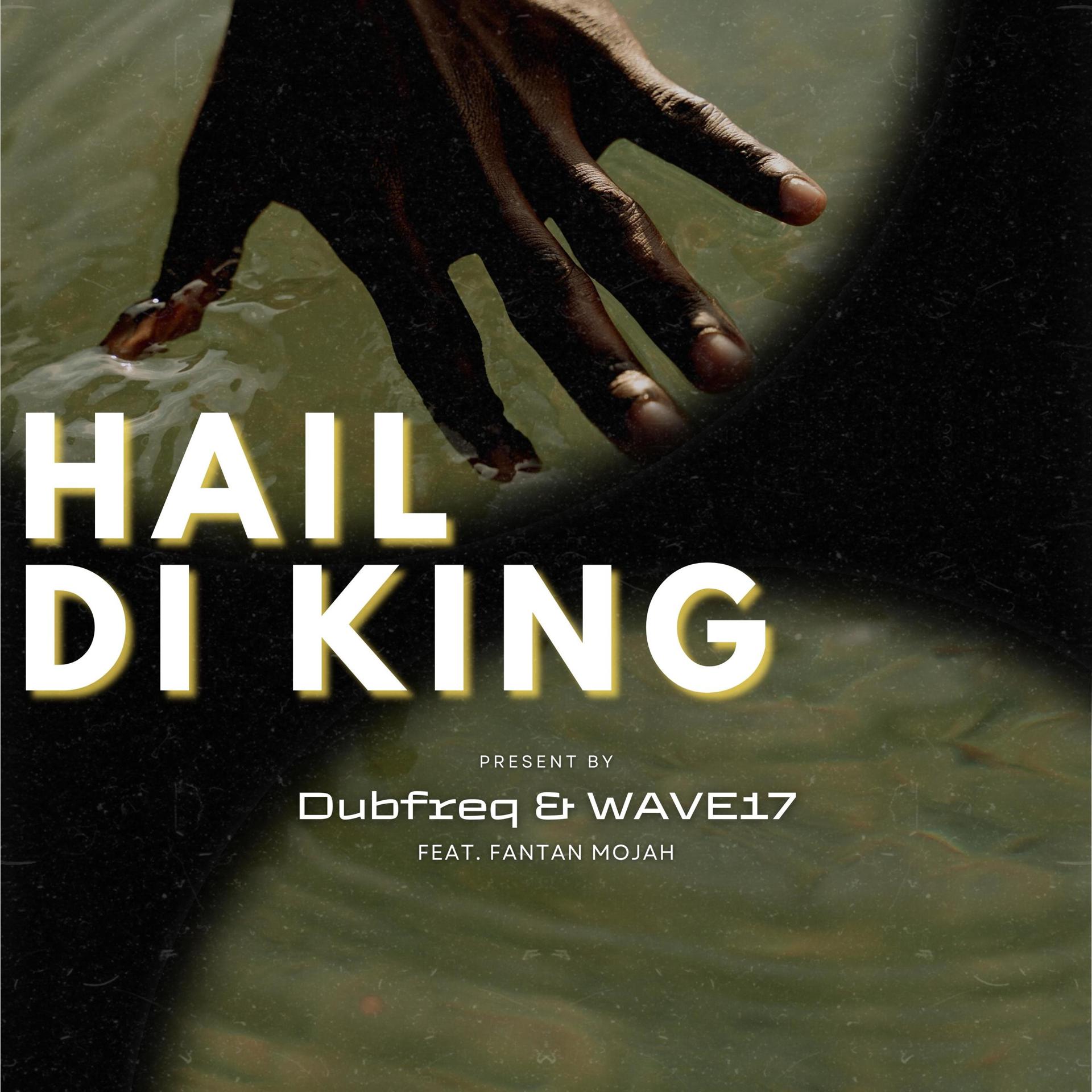 Постер альбома Hail Di King (Remastered)