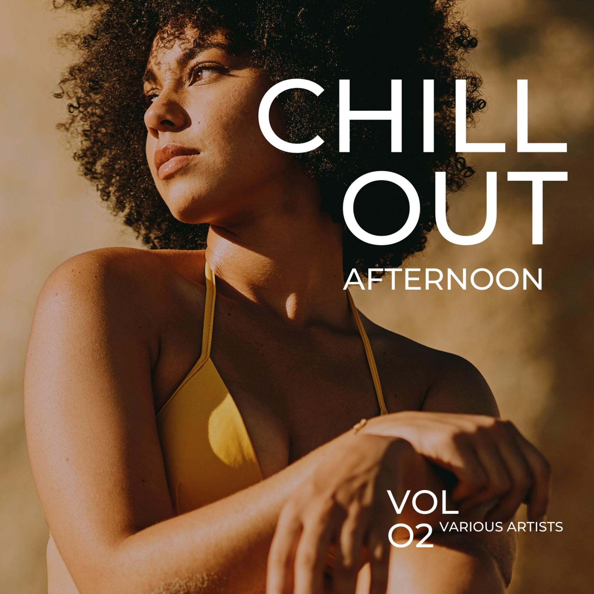 Постер альбома Chill Out Afternoon, Vol. 2