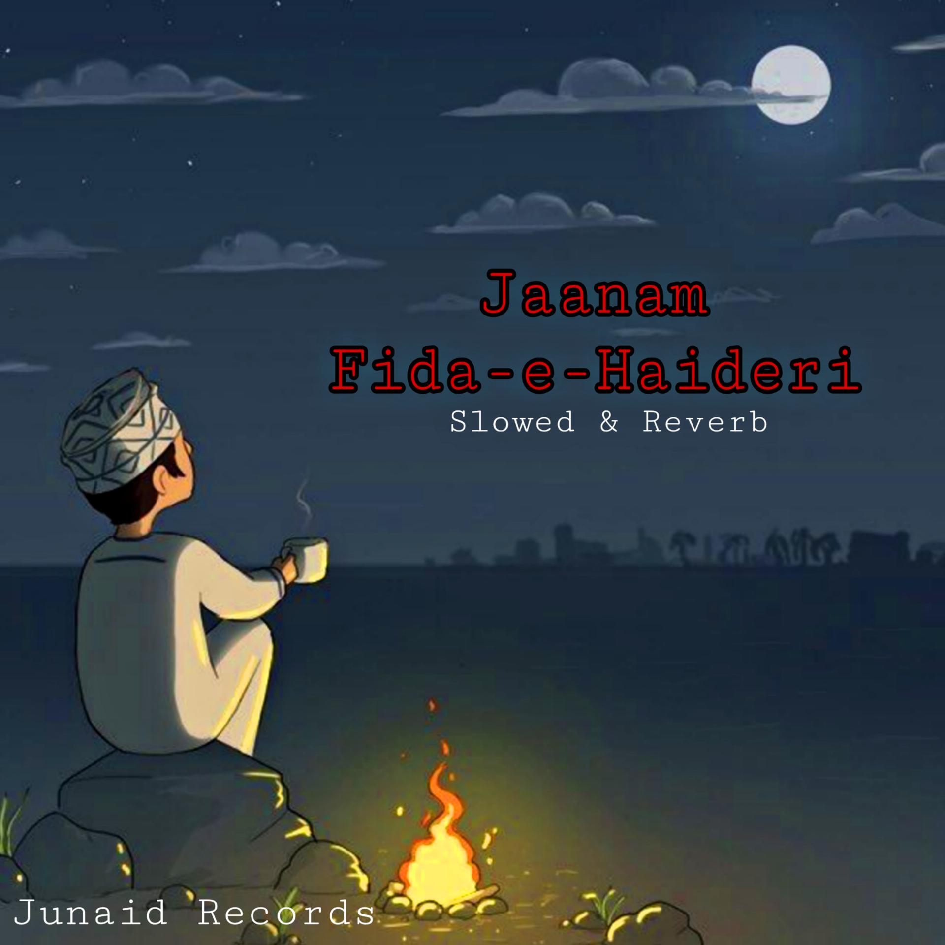 Постер альбома Jaanam Fida-e-Haideri (Slowed Reverb)