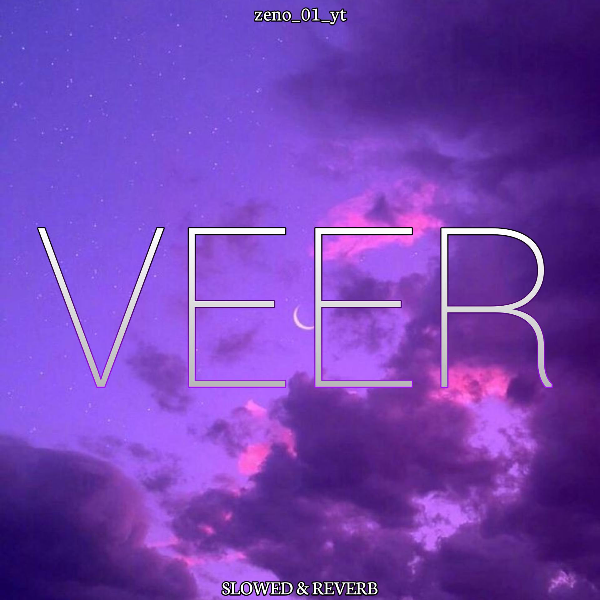 Постер альбома VEER