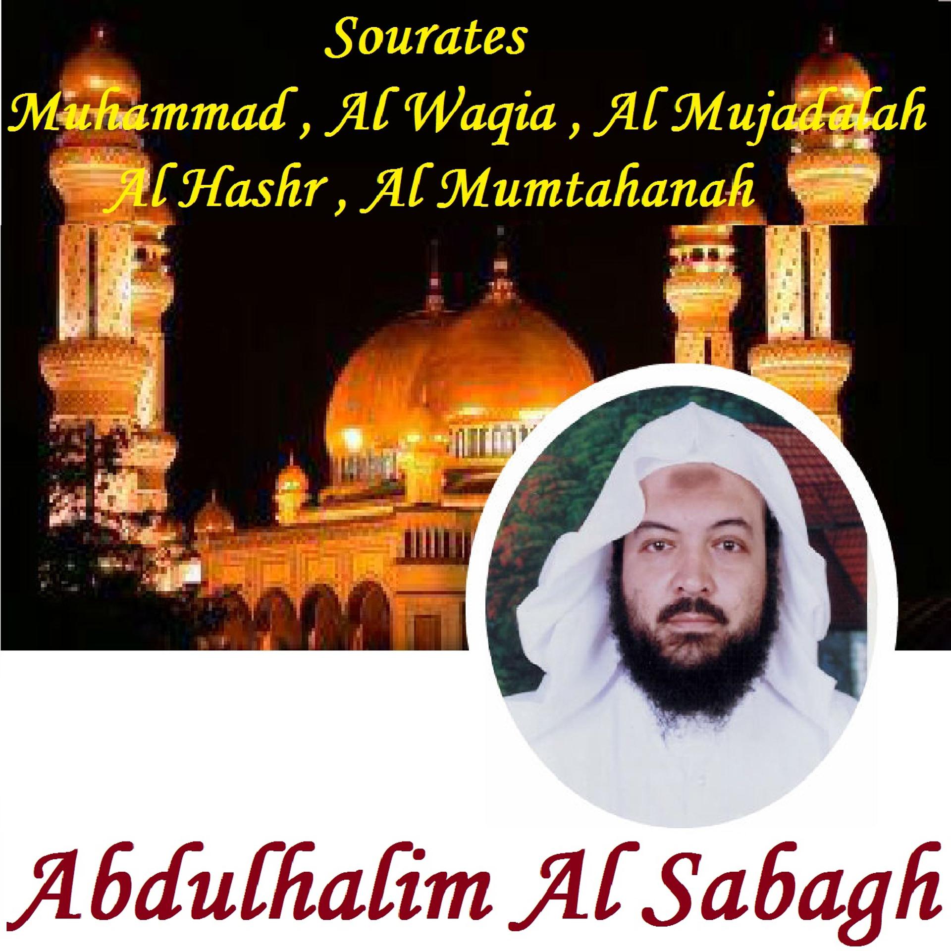 Постер альбома Sourates Muhammad , Al Waqia , Al Mujadalah , Al Hashr , Al Mumtahanah