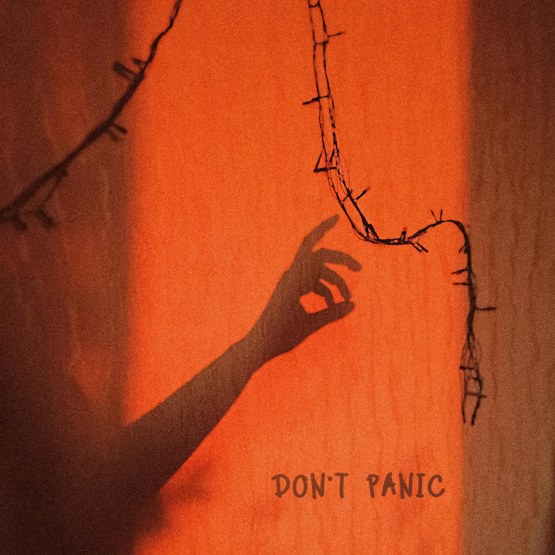 Постер альбома DON'T PANIC