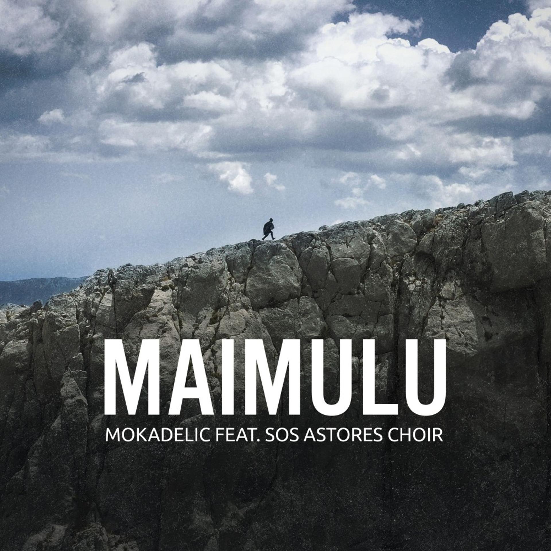 Постер альбома Maimulu