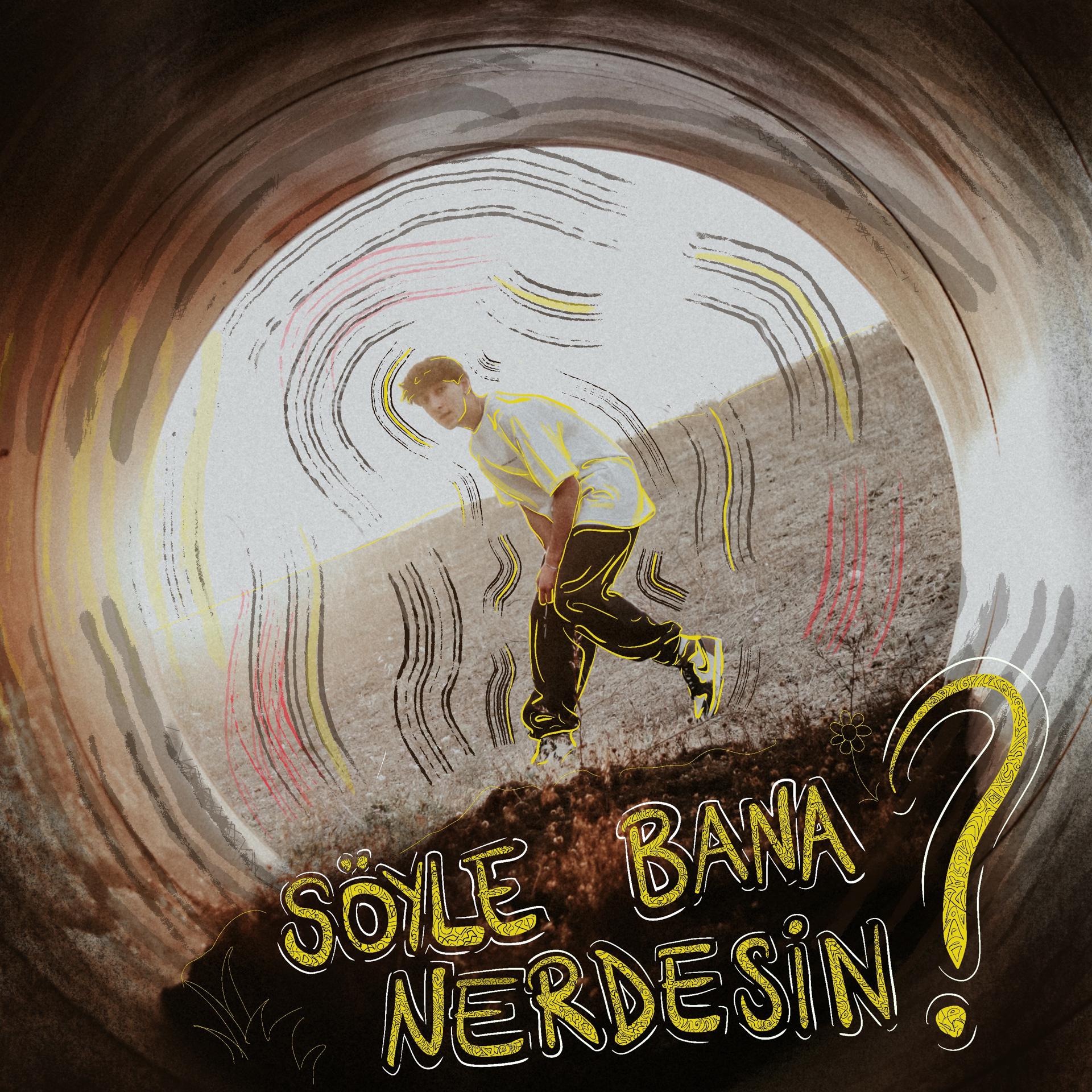 Постер альбома Söyle Bana Nerdesin