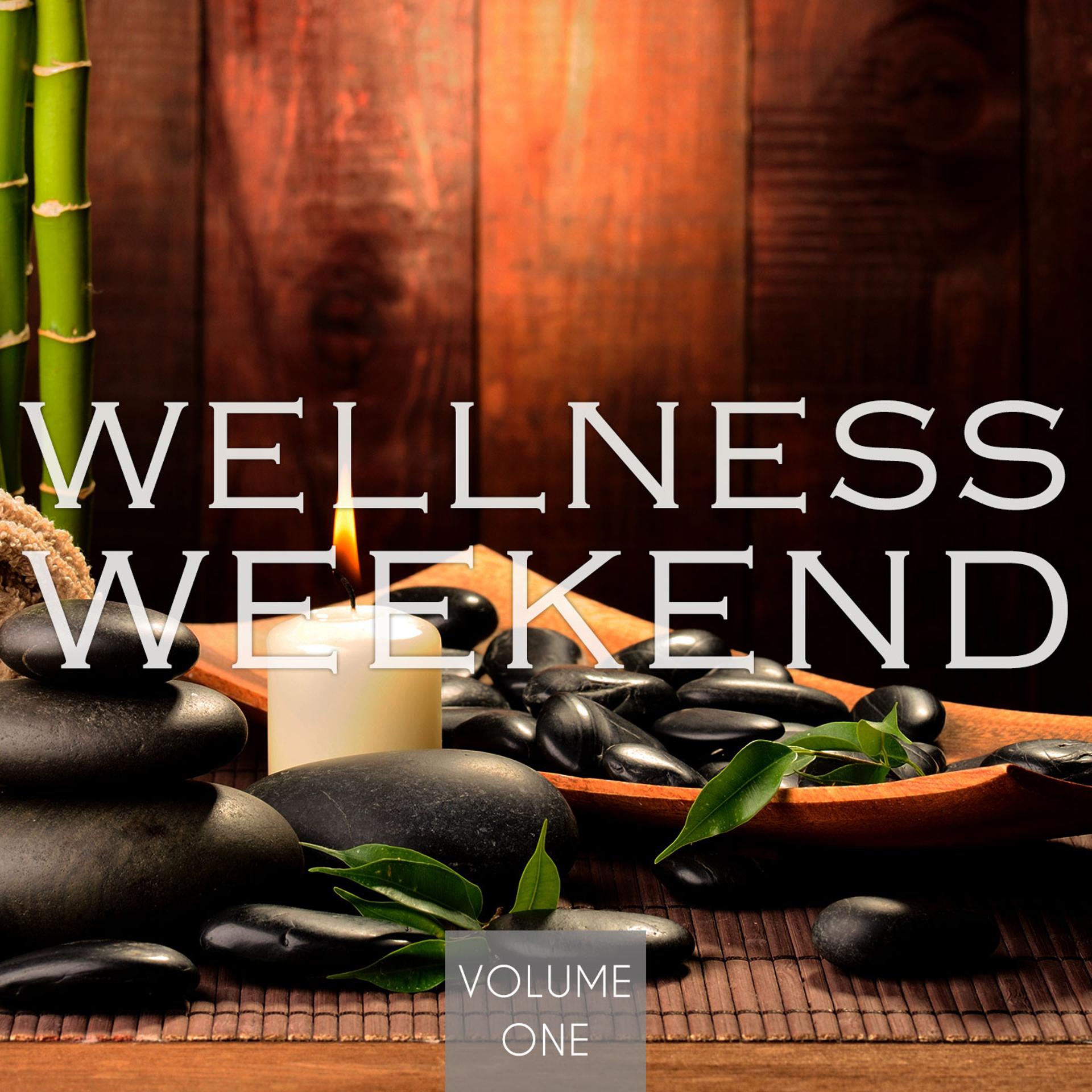 Постер альбома Wellness Weekend, Vol. 1
