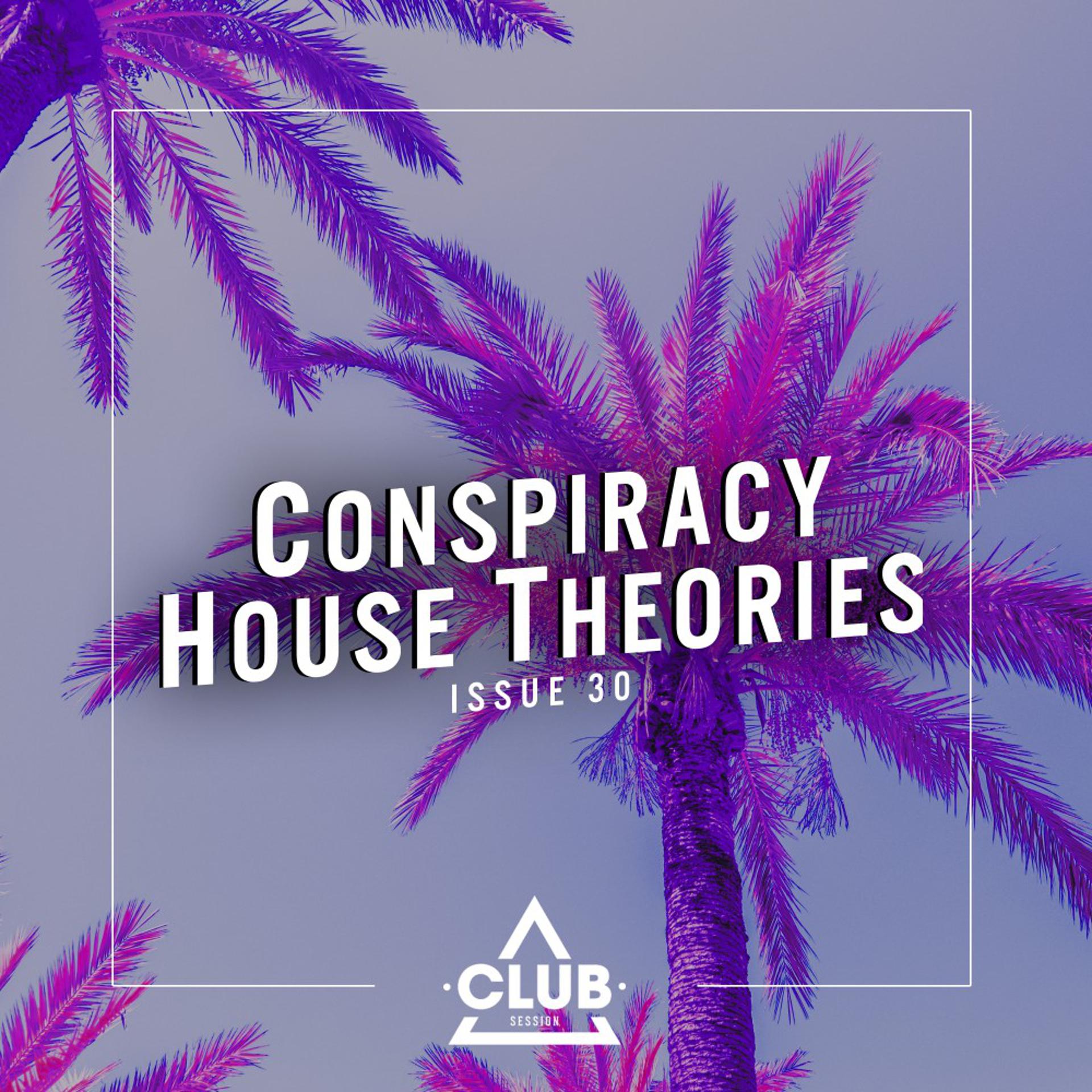 Постер альбома Conspiracy House Theories, Issue 30
