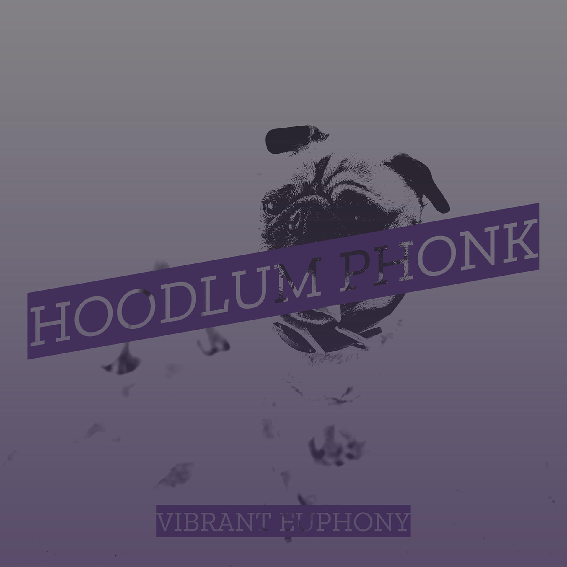 Постер альбома Hoodlum Phonk