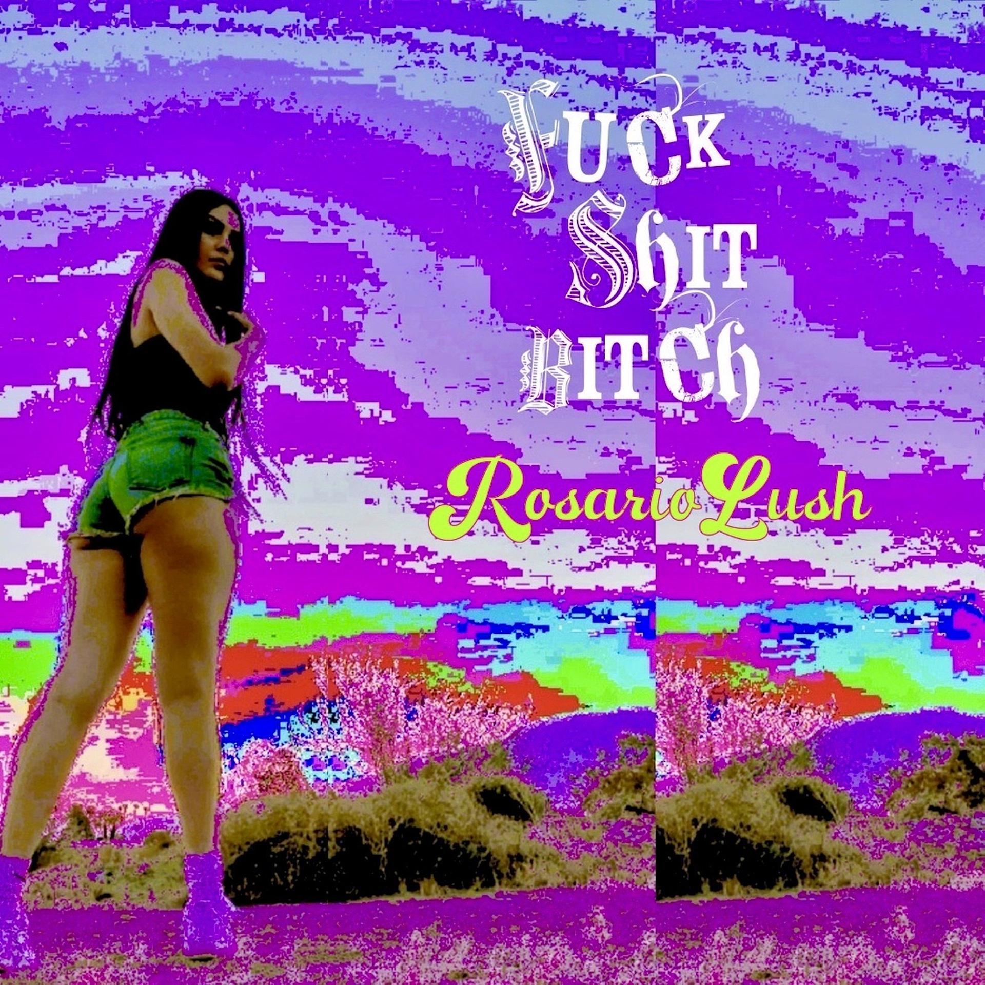 Постер альбома Fuck Shit Bitch