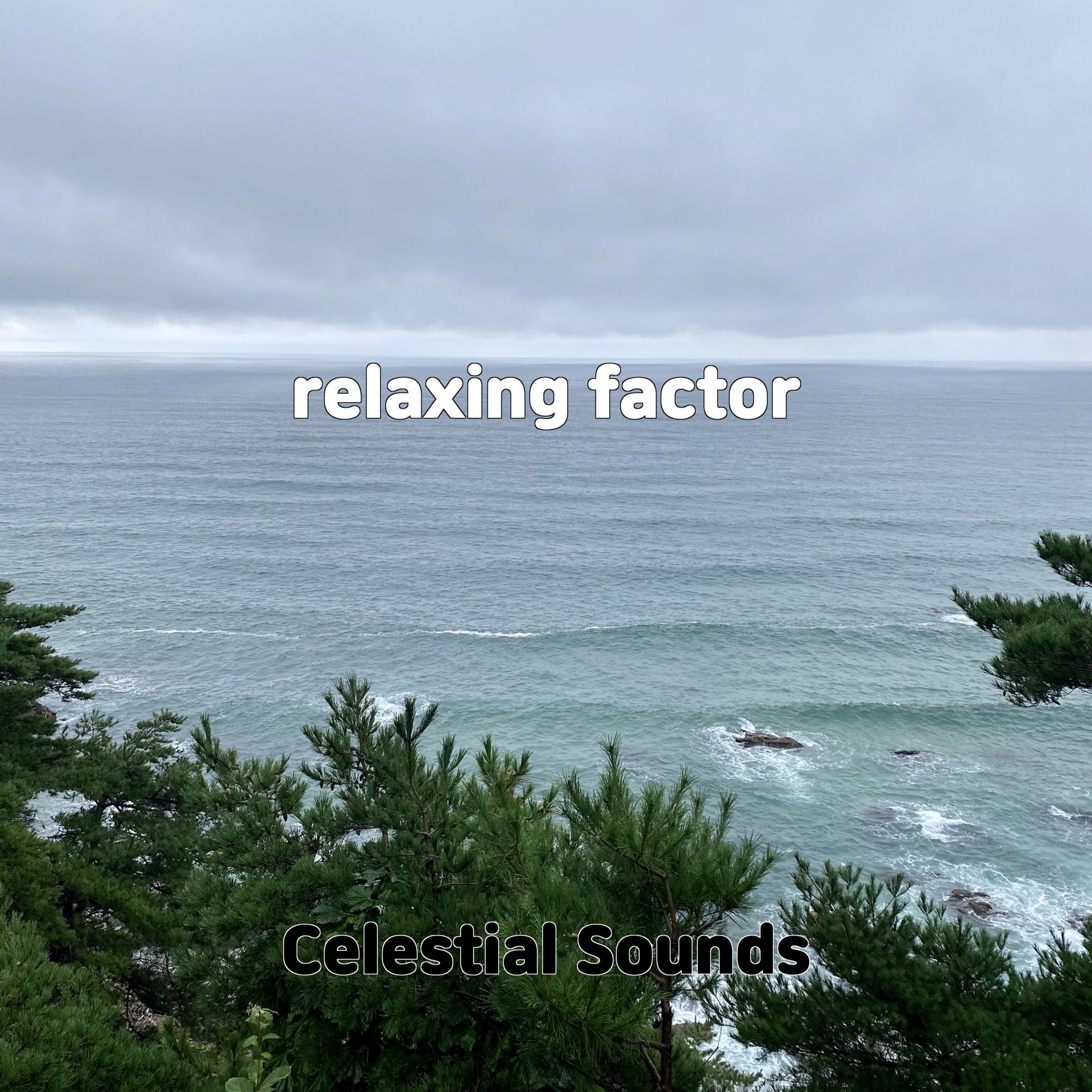 Постер альбома relaxing factor
