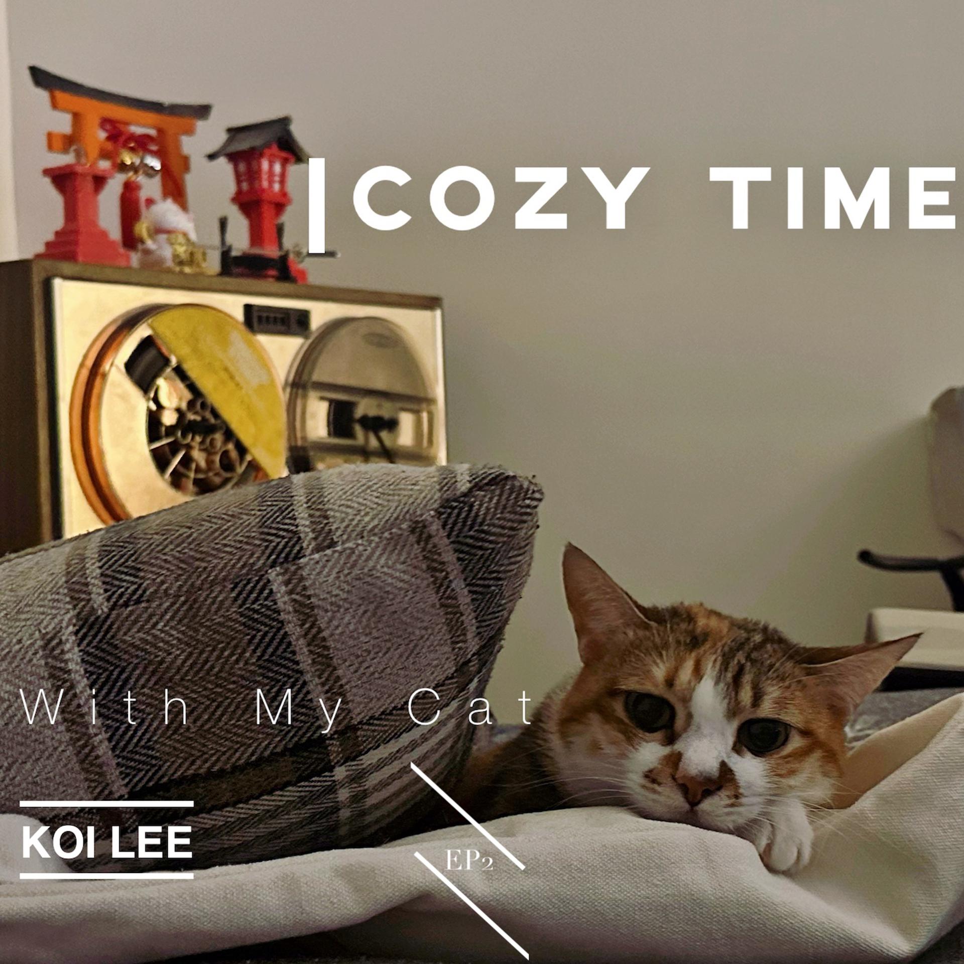 Постер альбома Cozy Time With My Cat