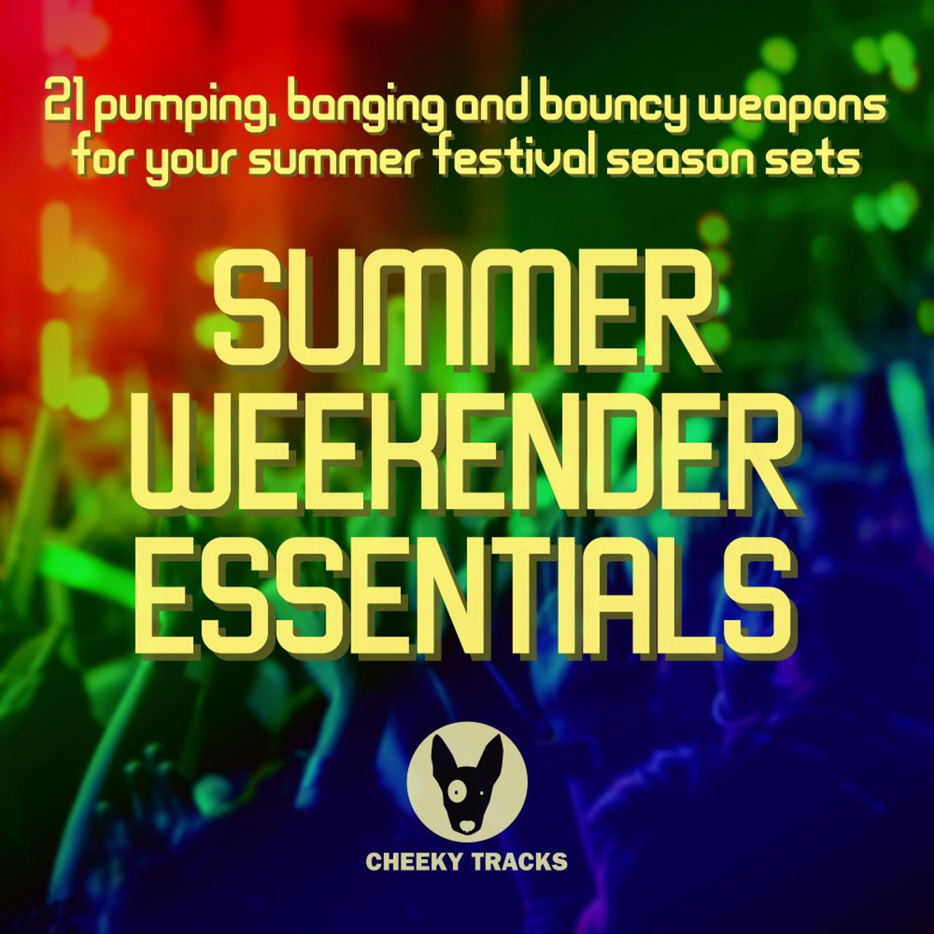 Постер альбома Summer Weekender Essentials