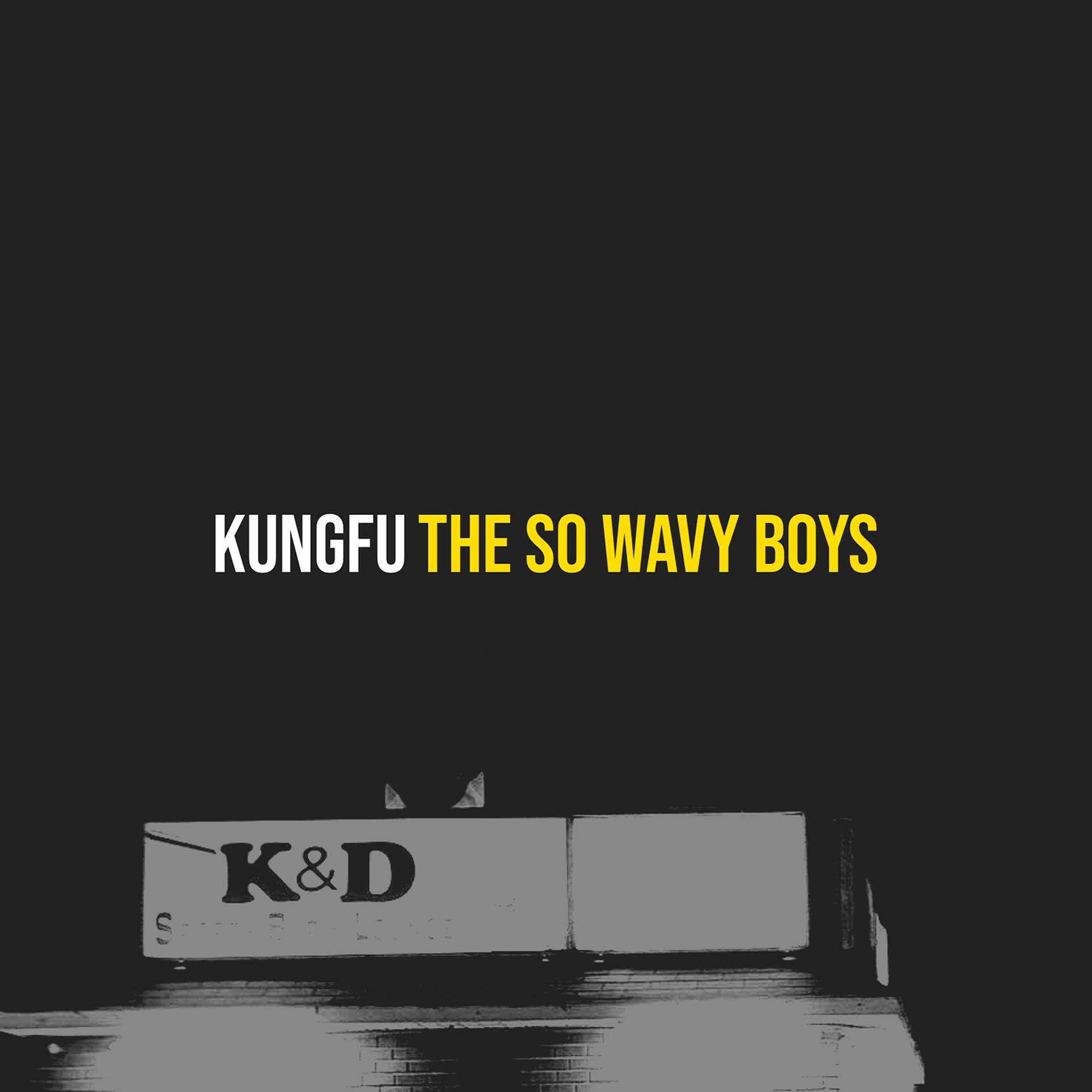 Постер альбома Kungfu