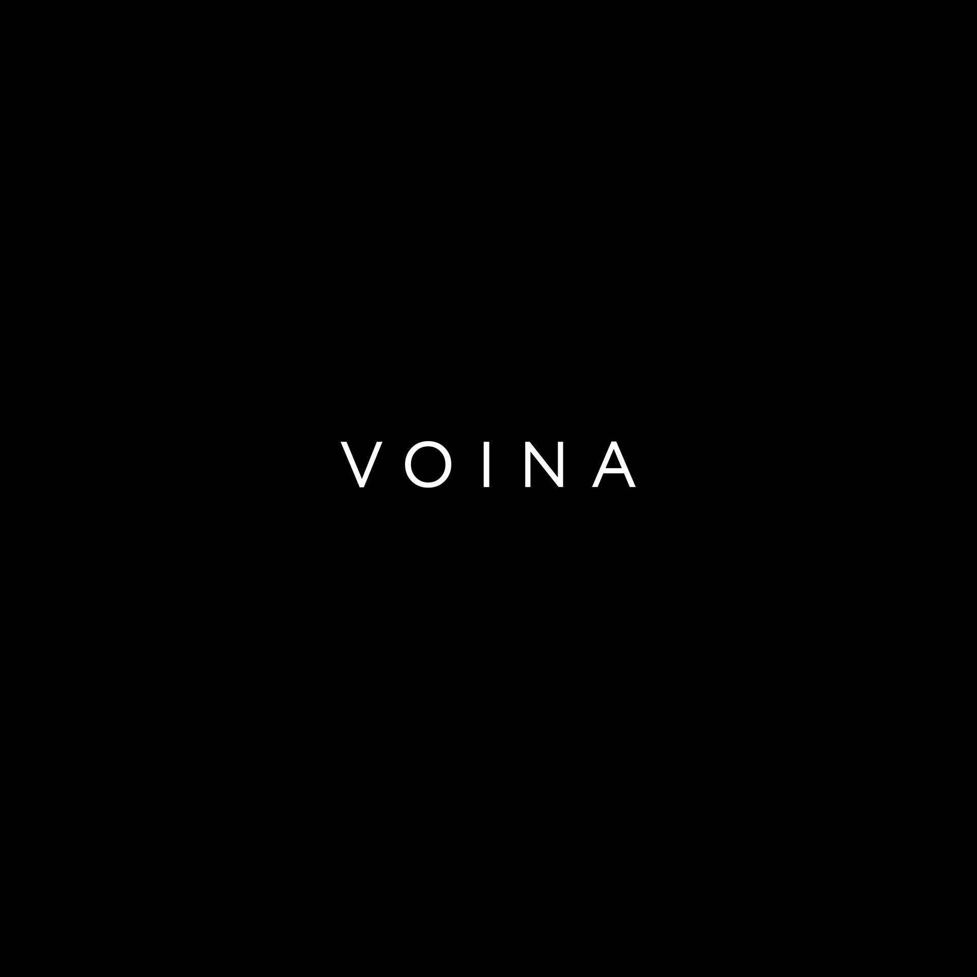 Постер альбома VOINA