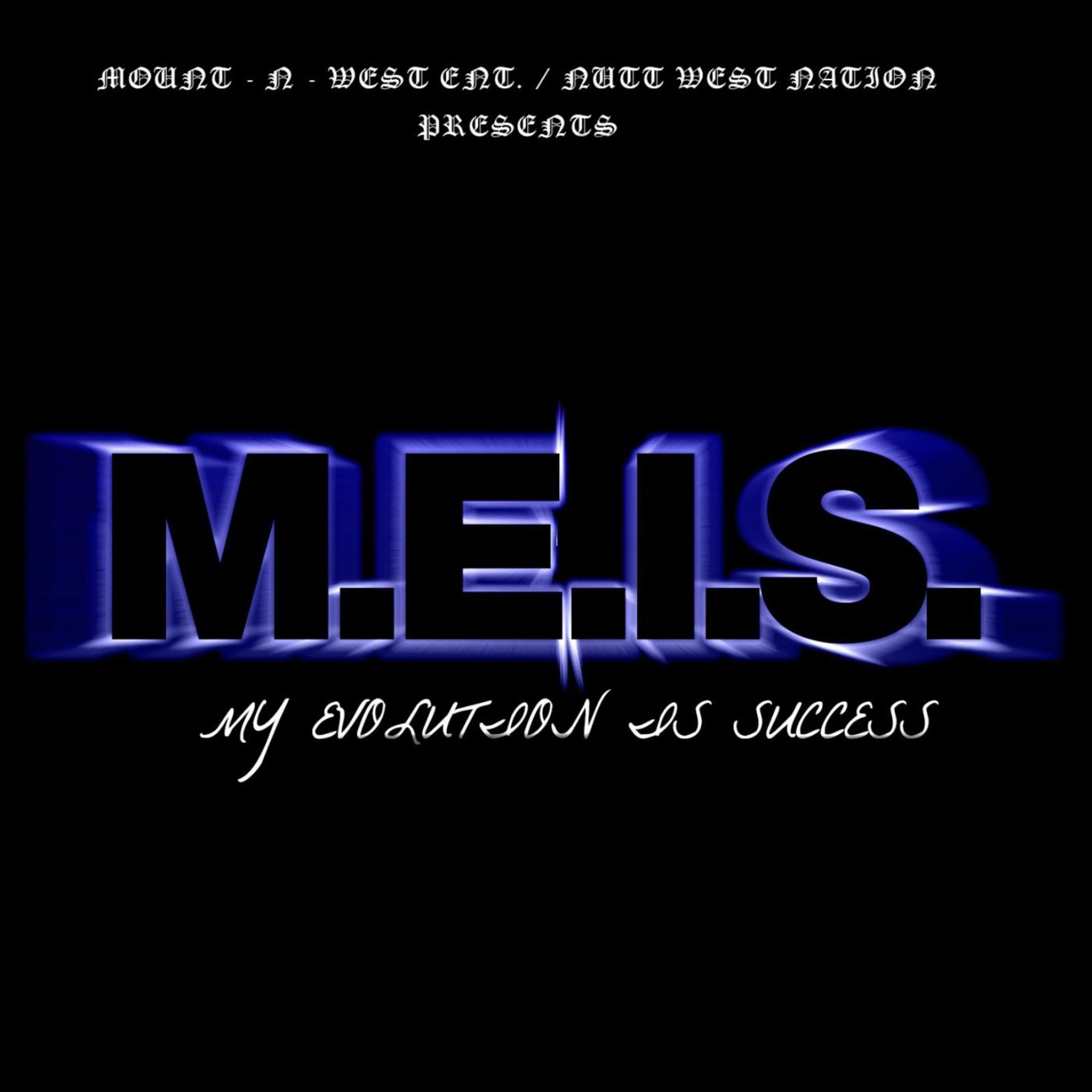 Постер альбома M.E.I.S.