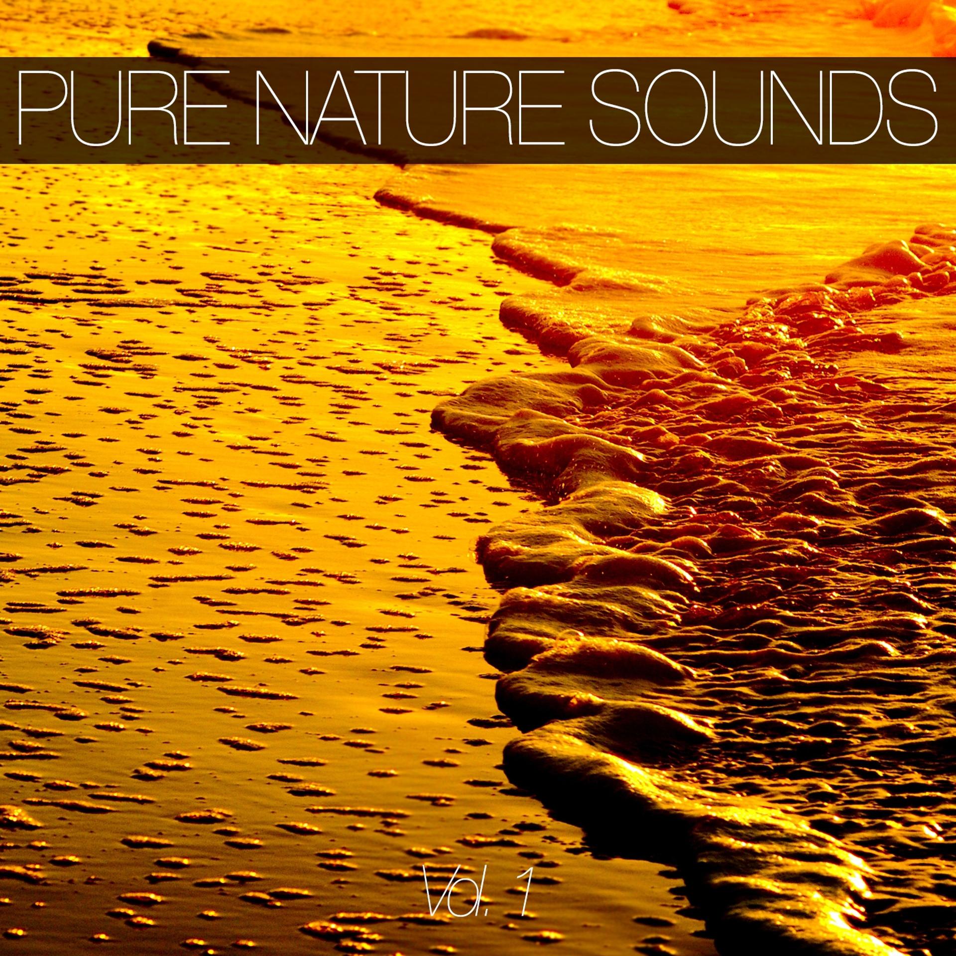 Постер альбома Pure Nature Sounds, Vol. 1