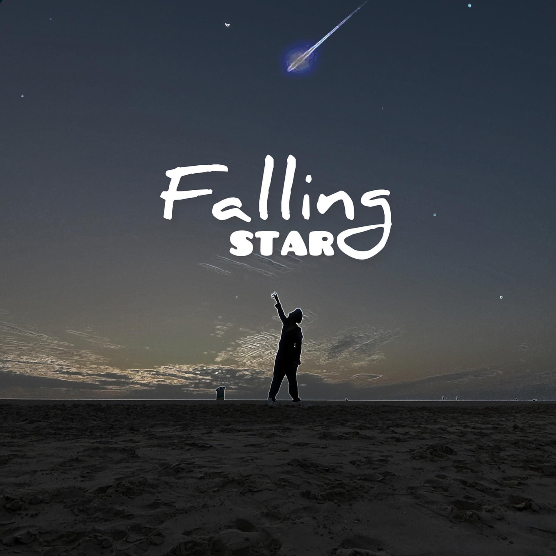 Постер альбома Falling Star