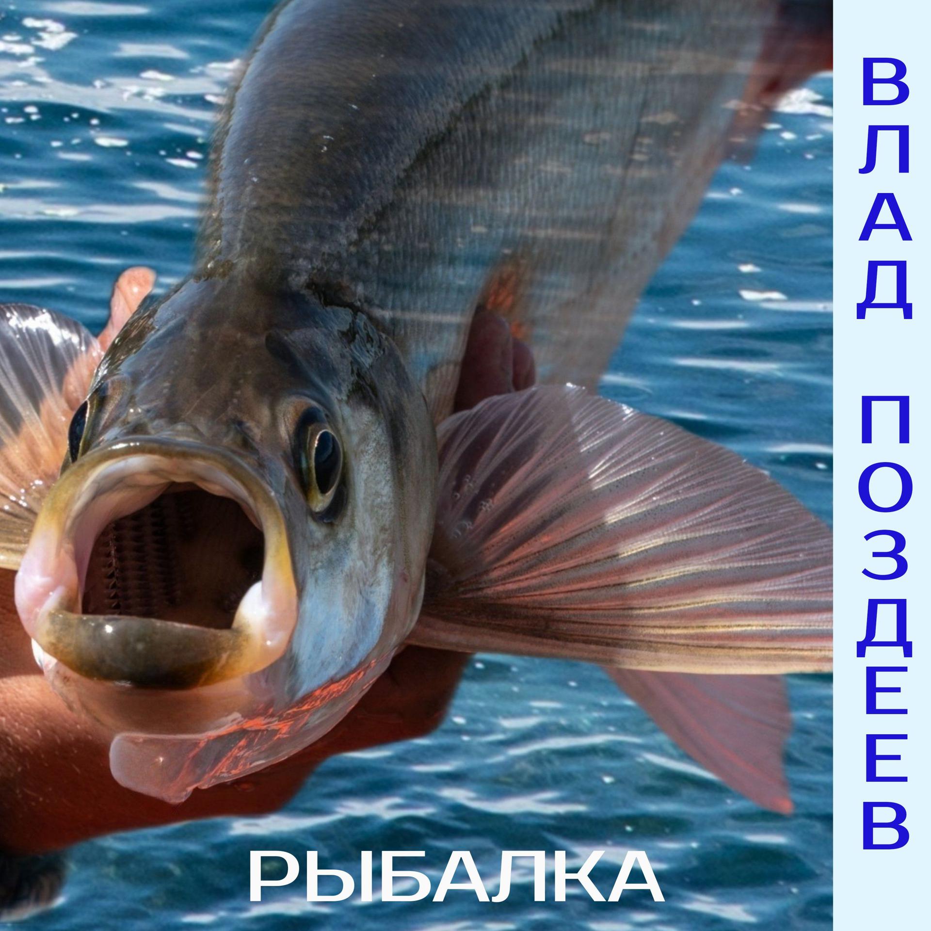 Постер альбома Рыбалка