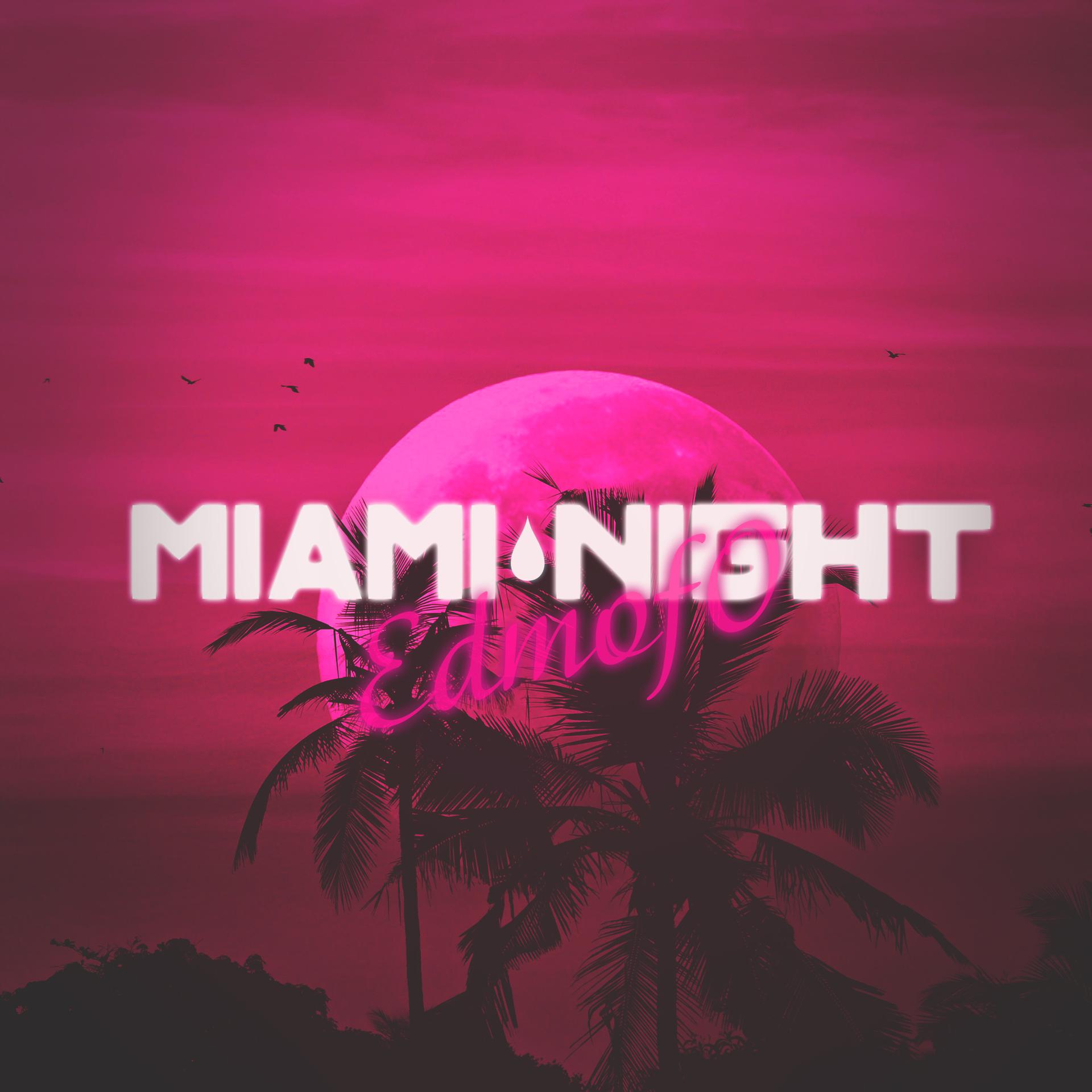 Постер альбома Miami Night