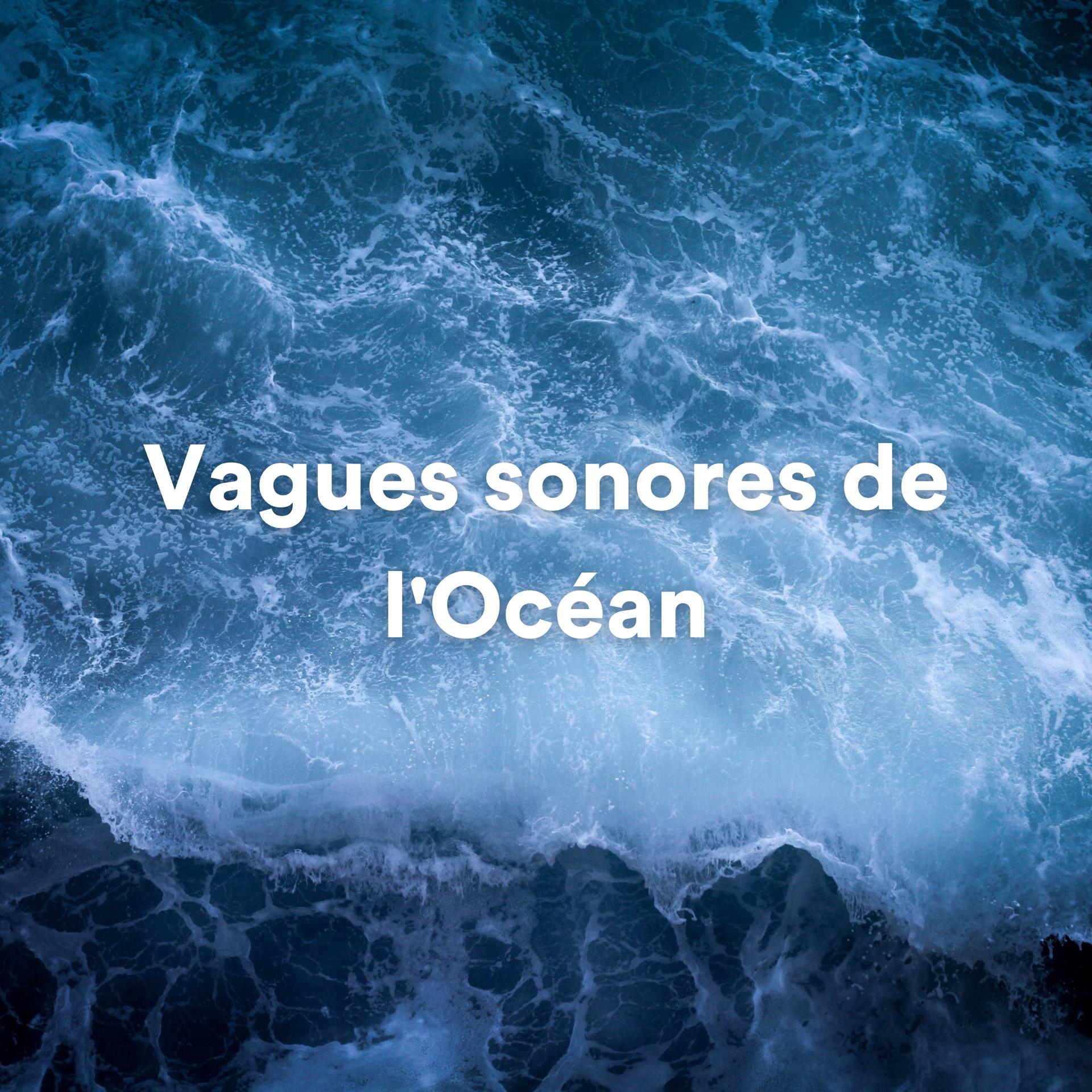 Постер альбома Vagues sonores de l'Océan