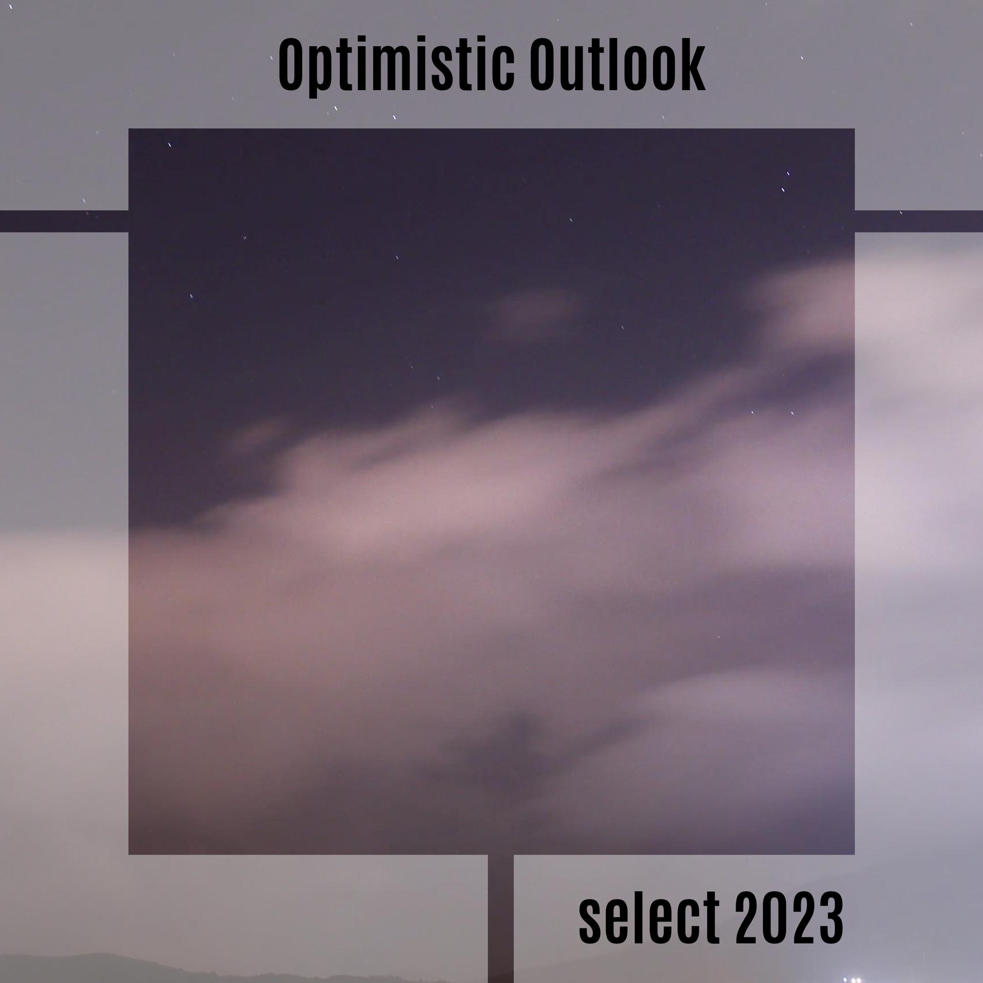 Постер альбома Optimistic Outlook Select 2023