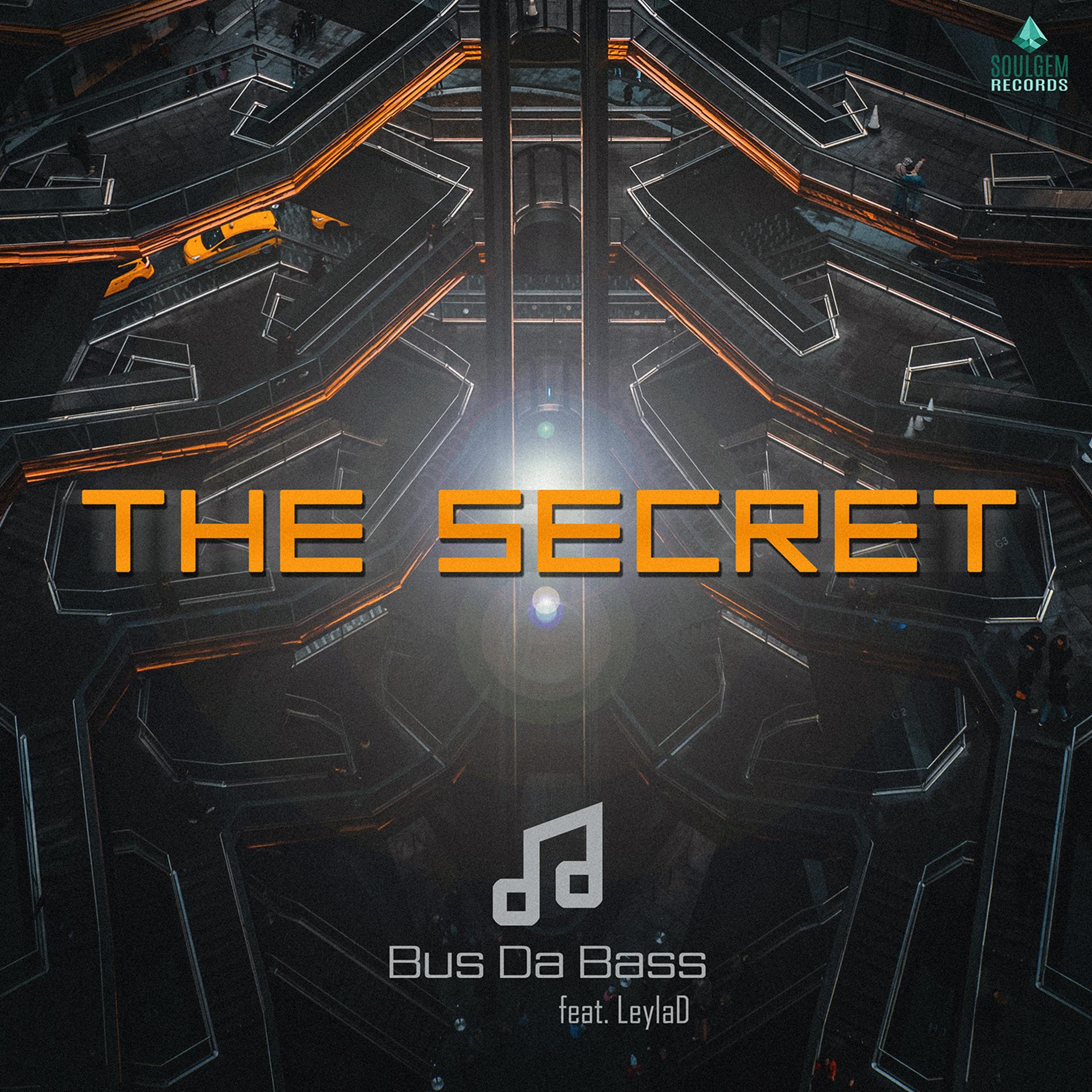 Постер альбома The secret