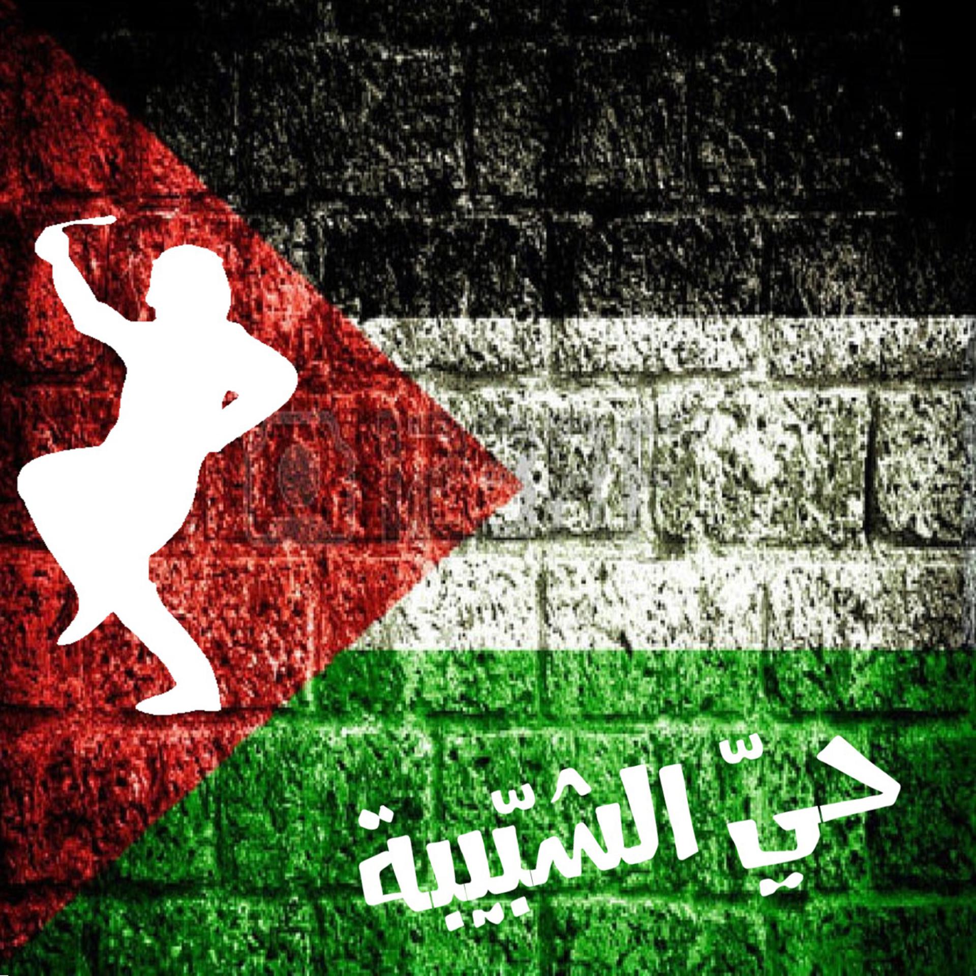 Постер альбома Hay El Shabiba