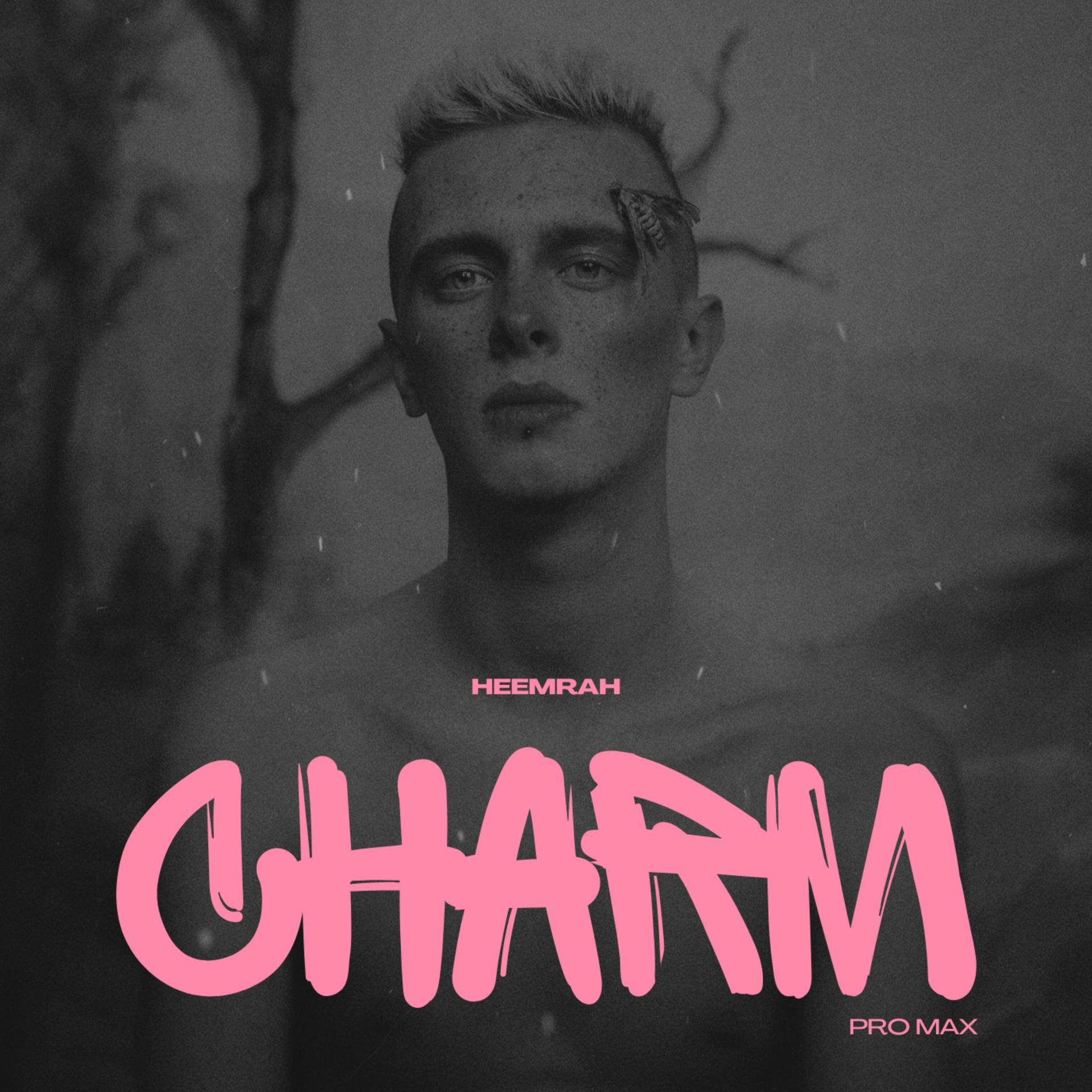 Постер альбома Charm Pro Max